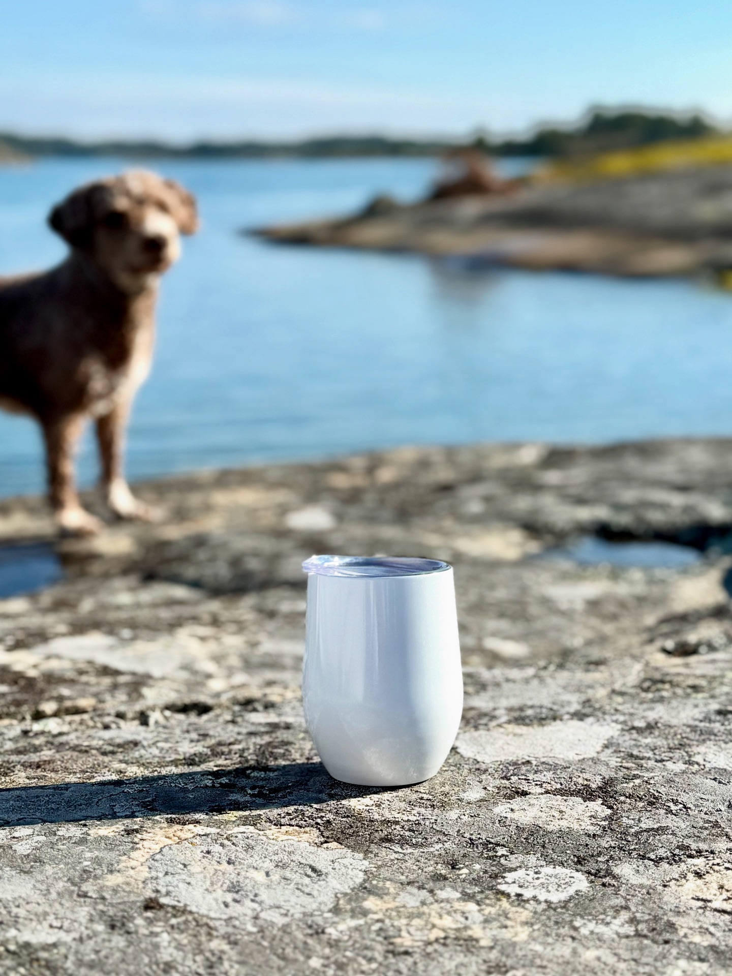 VESI bottle