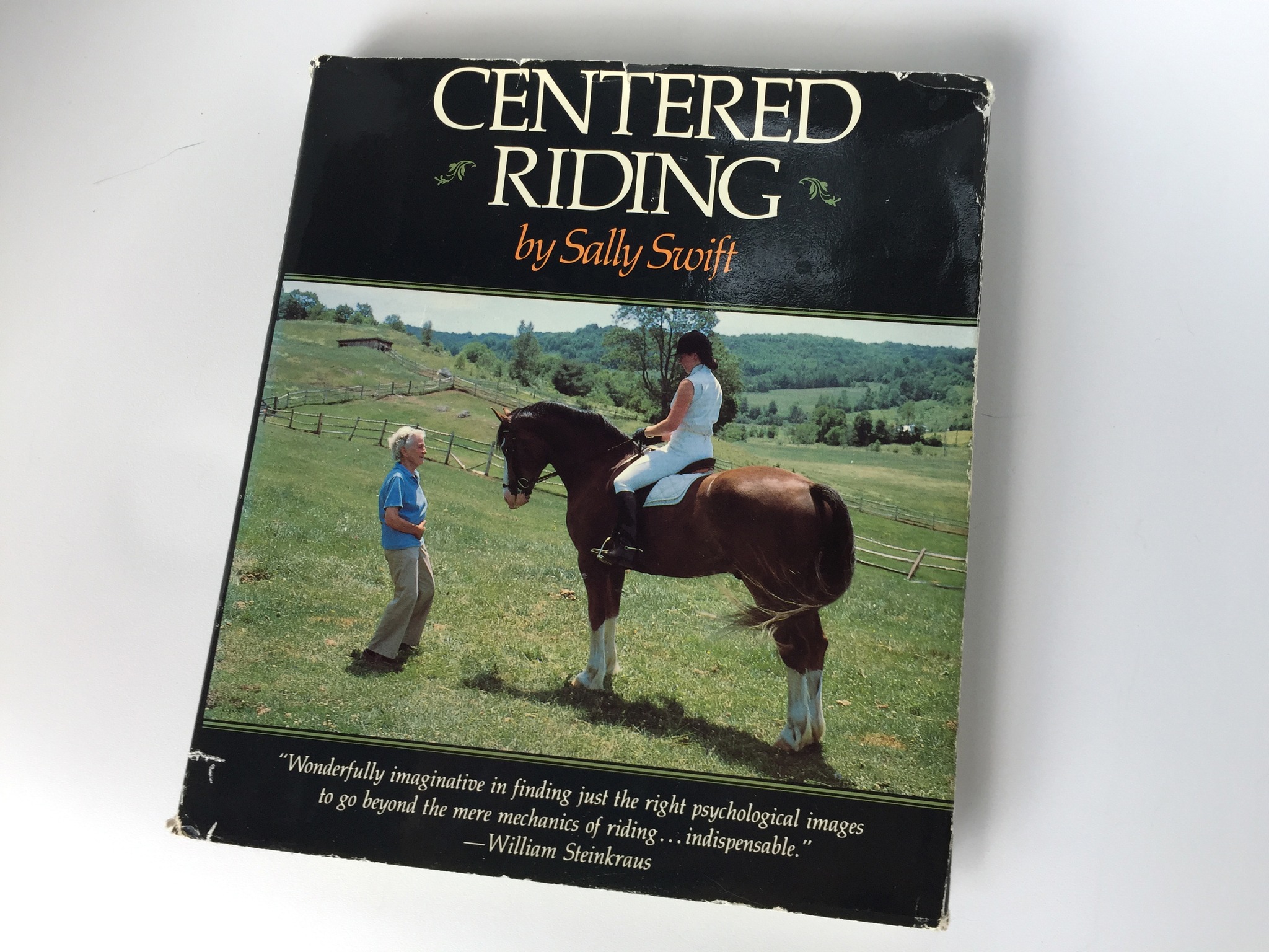 Whole Horse, Whole Rider | Lamy NM