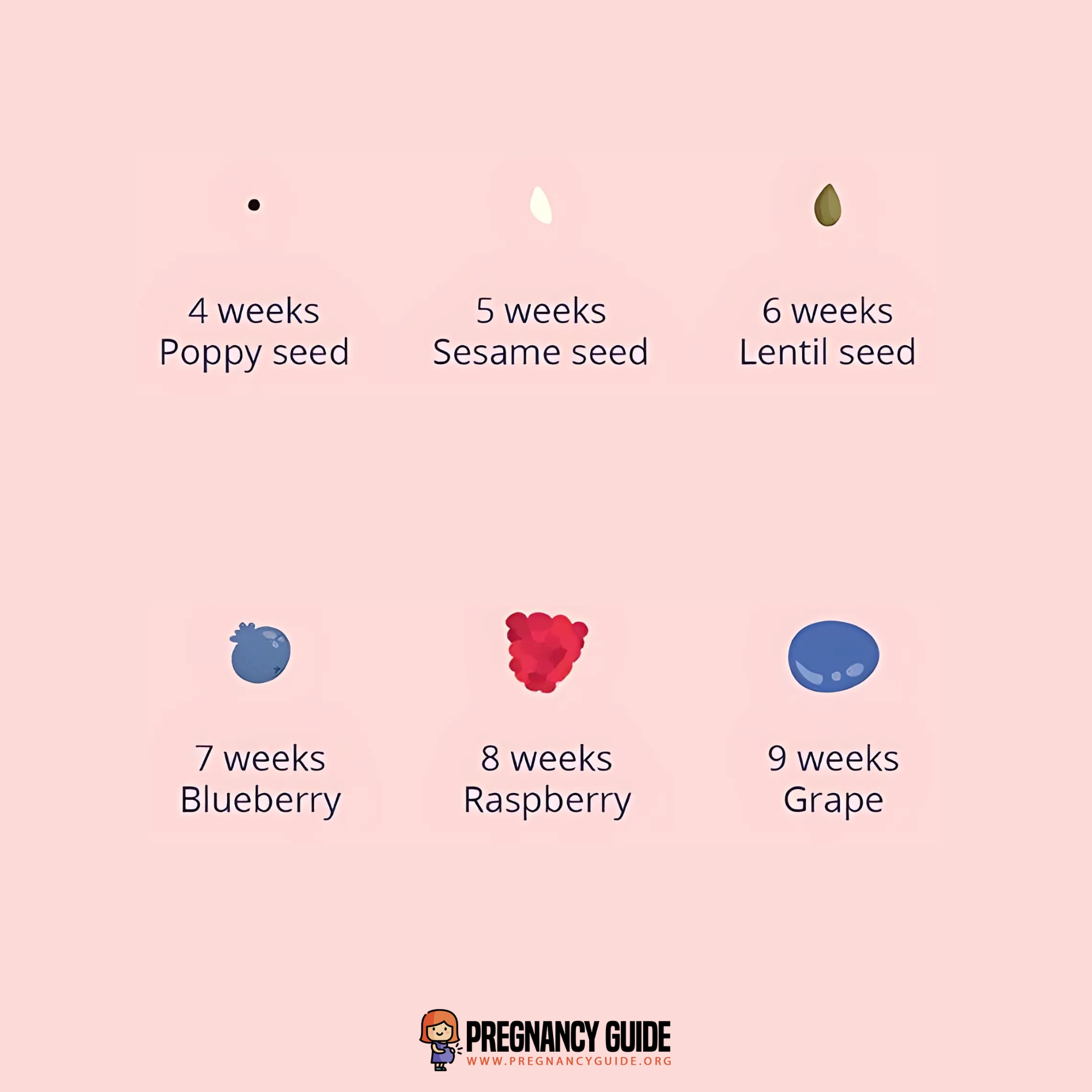 Pregnancy Guide - Pregnancy Guide added a new photo.