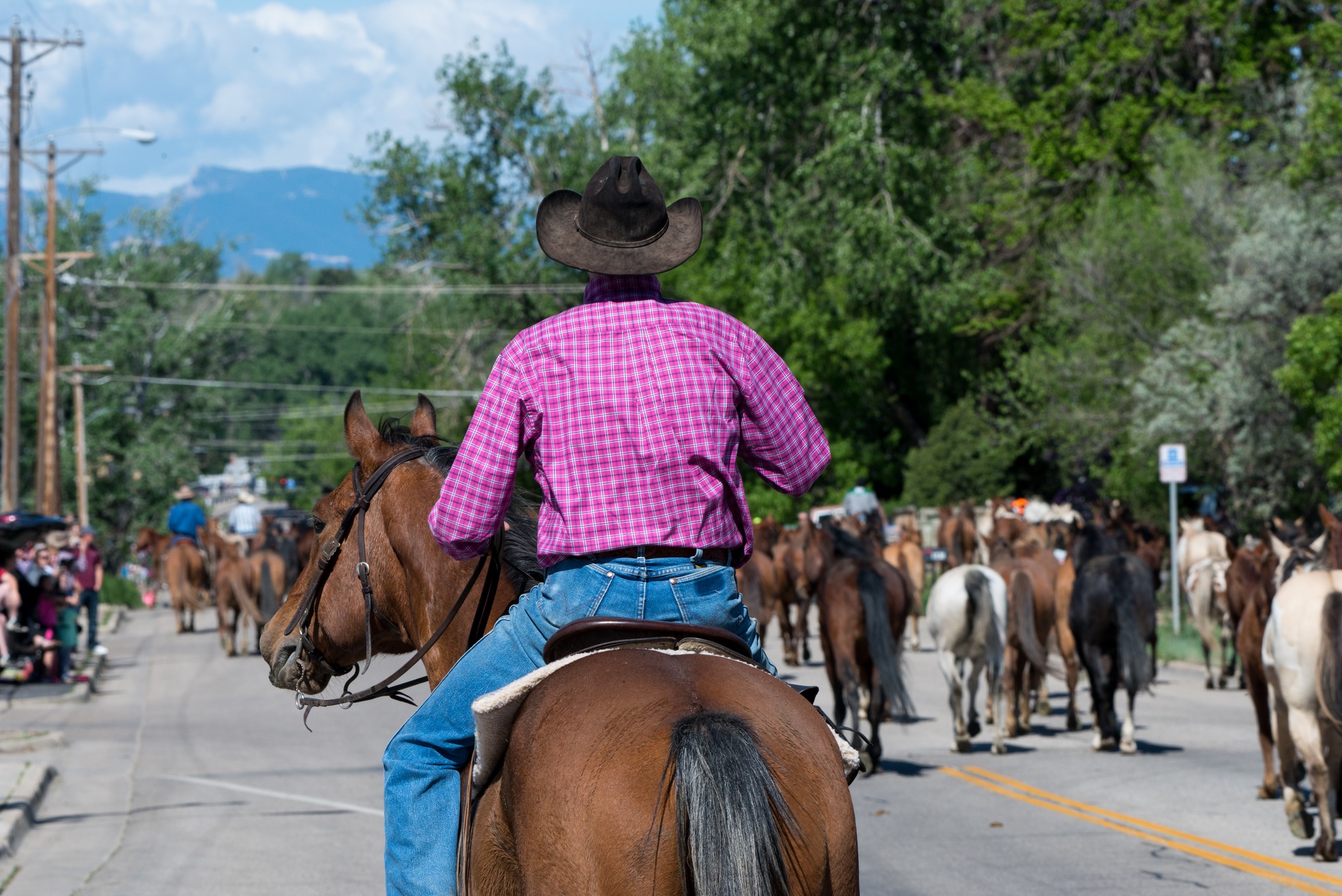 🤠🐎2025 Horse Drive🐎🤠 It's... - Visit Sheridan, Wyoming | Facebook