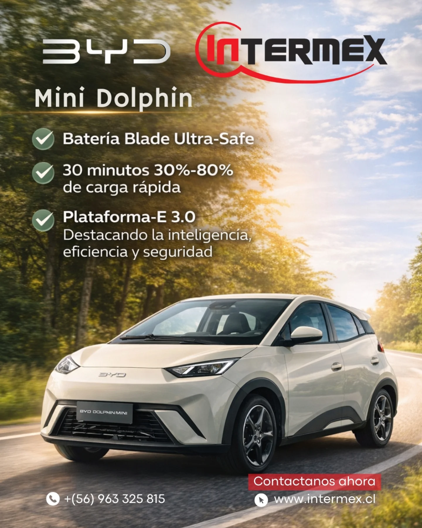 Intermex - Joylong tiene un modelo que necesitas. El A5 te da espacio y ...