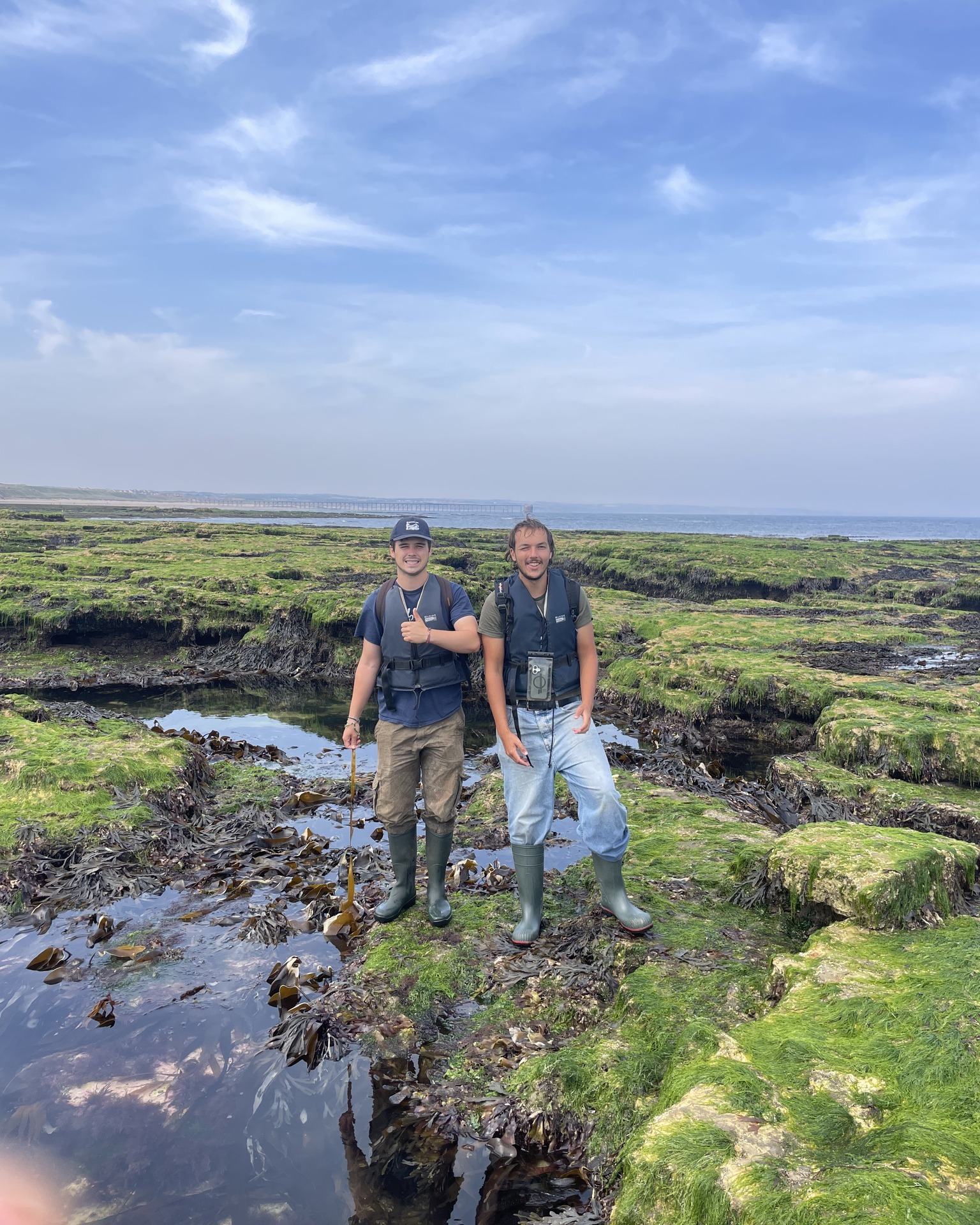 How many mussels can you see in... - The Tees Rivers Trust | Facebook