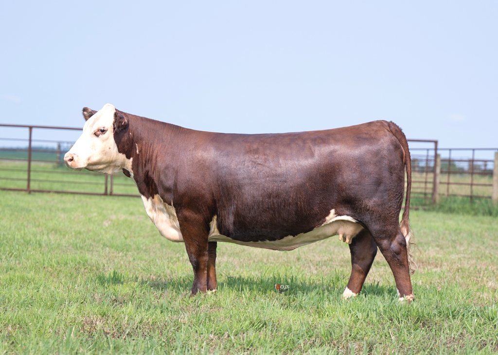 Atkins - Lot 38 | Facebook