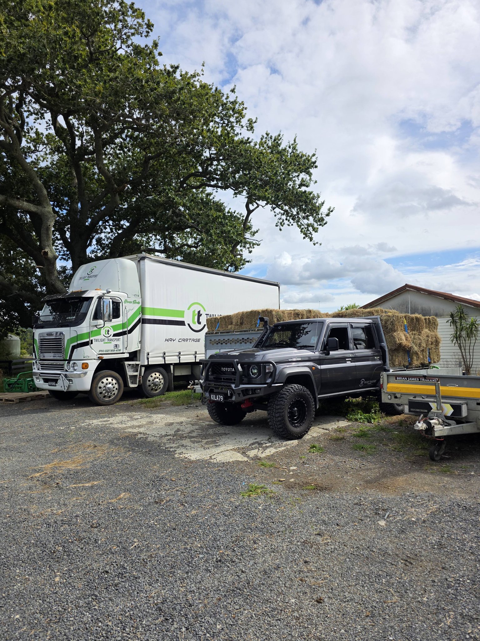 Rogue Graphics Ltd | Auckland