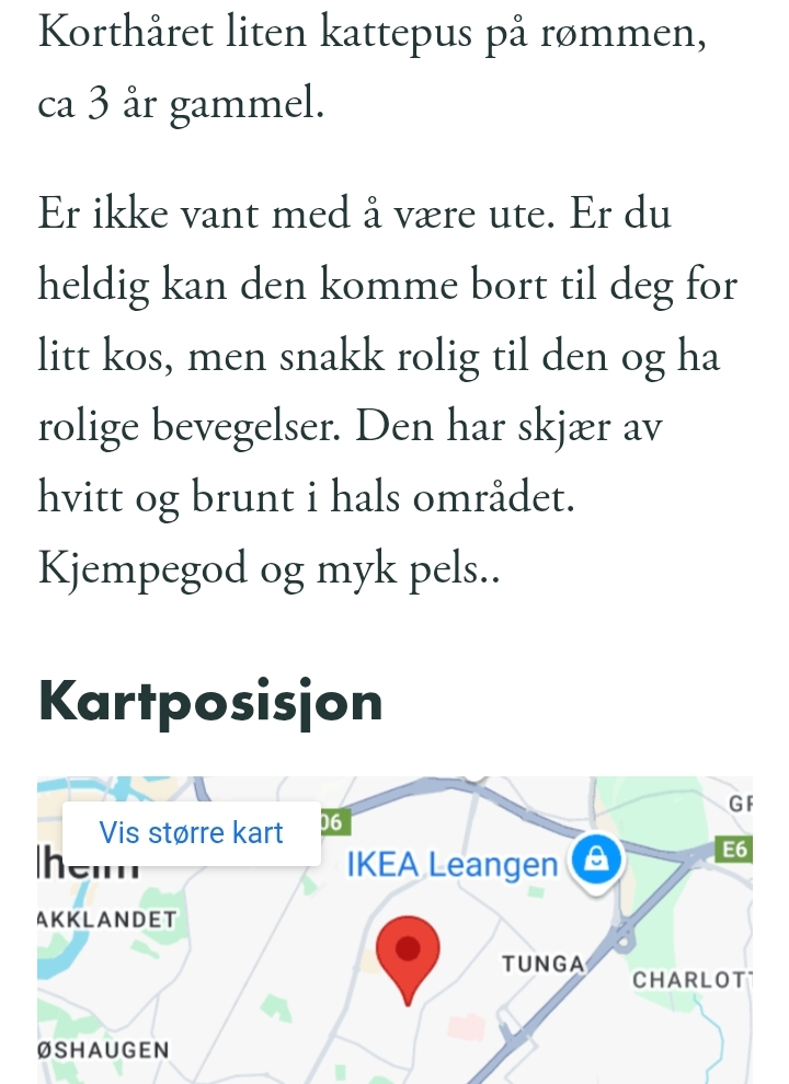 Bildedeling Dyrsavnetfunnet - Brun,sort katt funnet i #Blakkensvei, # ...