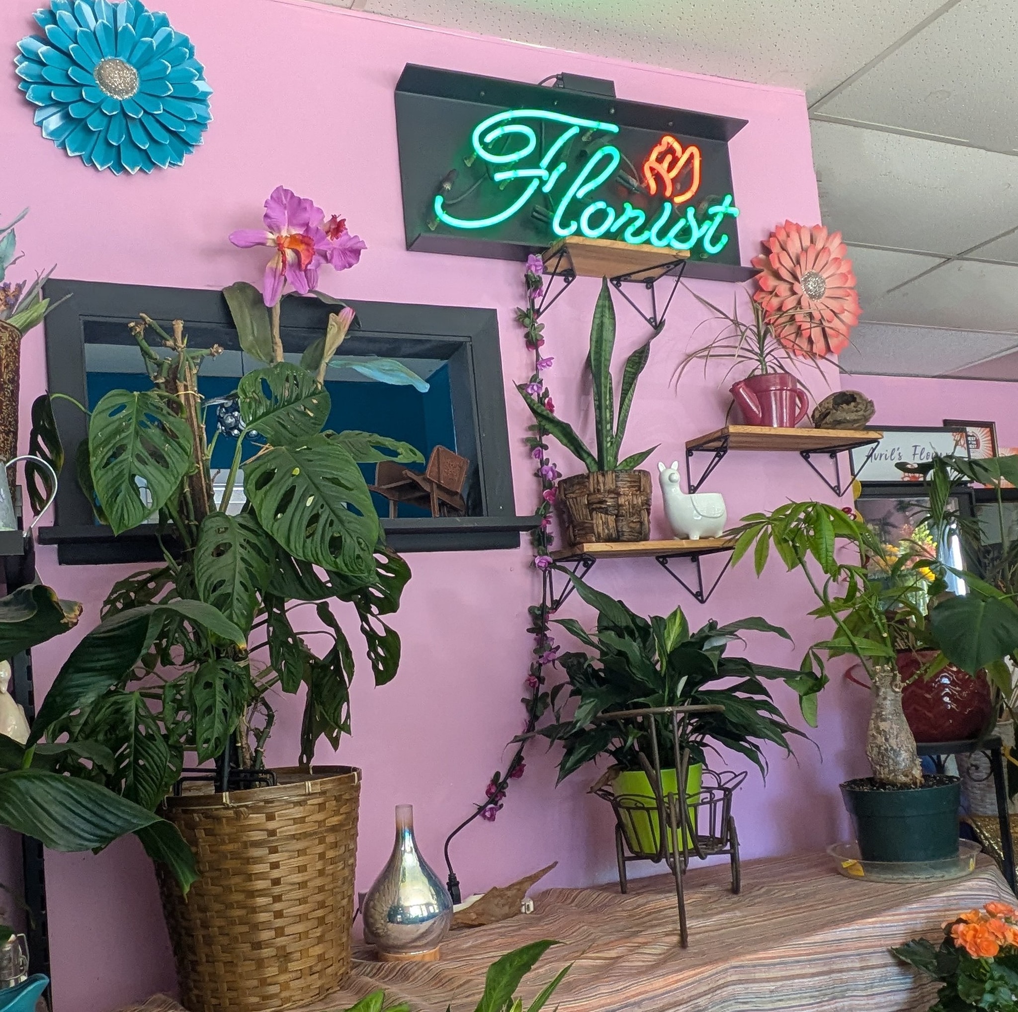 New Port Richey Florist