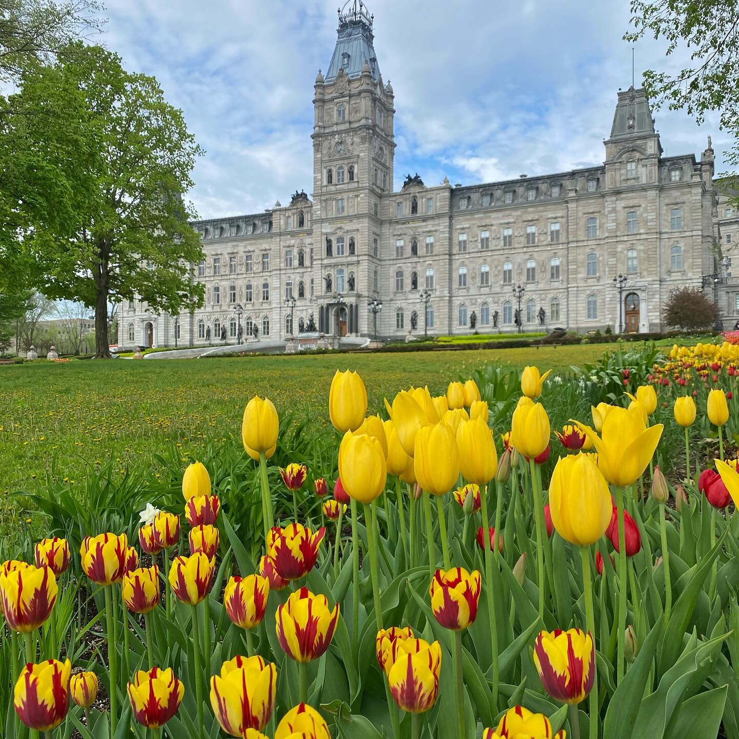 Québec - Avec ses fleurs colorées et ses rues pavées pittoresques, le ...