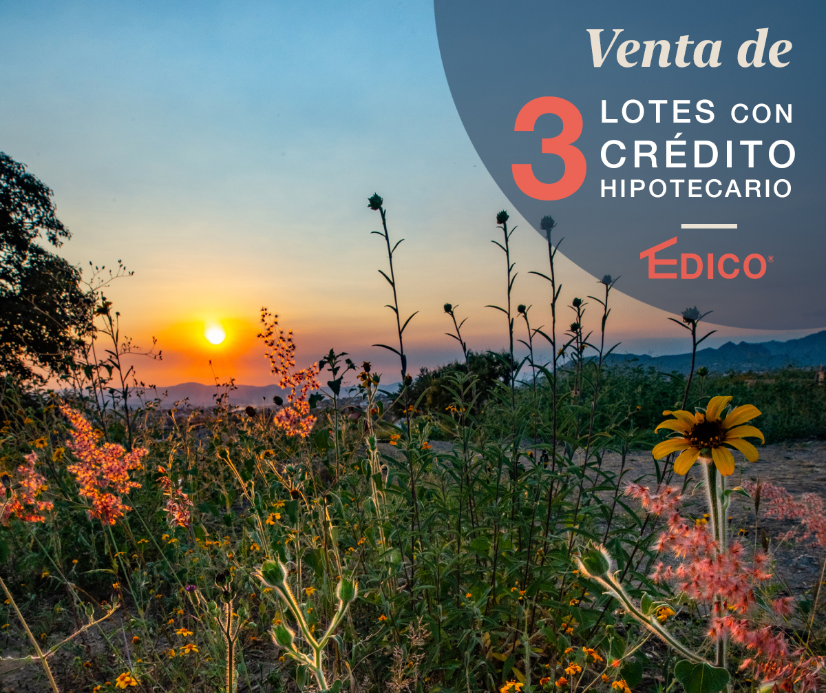 Edico-Lomas - Ahora puedes comprar tu terreno urbanizado en Lomas de ...