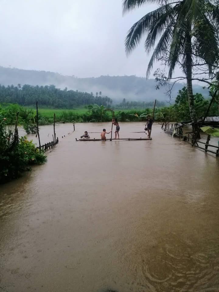 Northern Samar News &... - Northern Samar News & Information