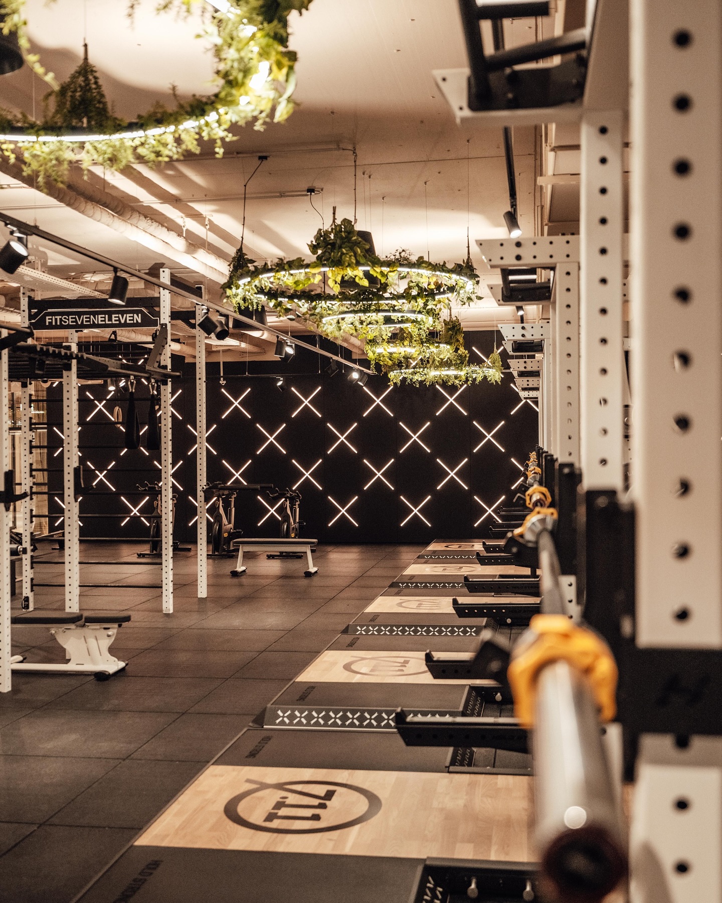 Hold Strong Fitness Barra De Dominadas Para Pared – Acero Soldado, 6 Agarre, Capacidad 350 Kg, Certificada EN 957 Para Gimnasio Profesional (Antracita)