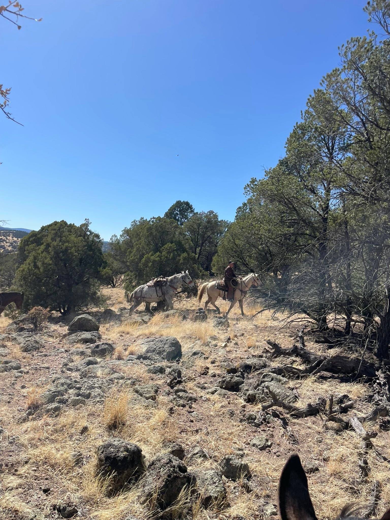 Slash Ranch