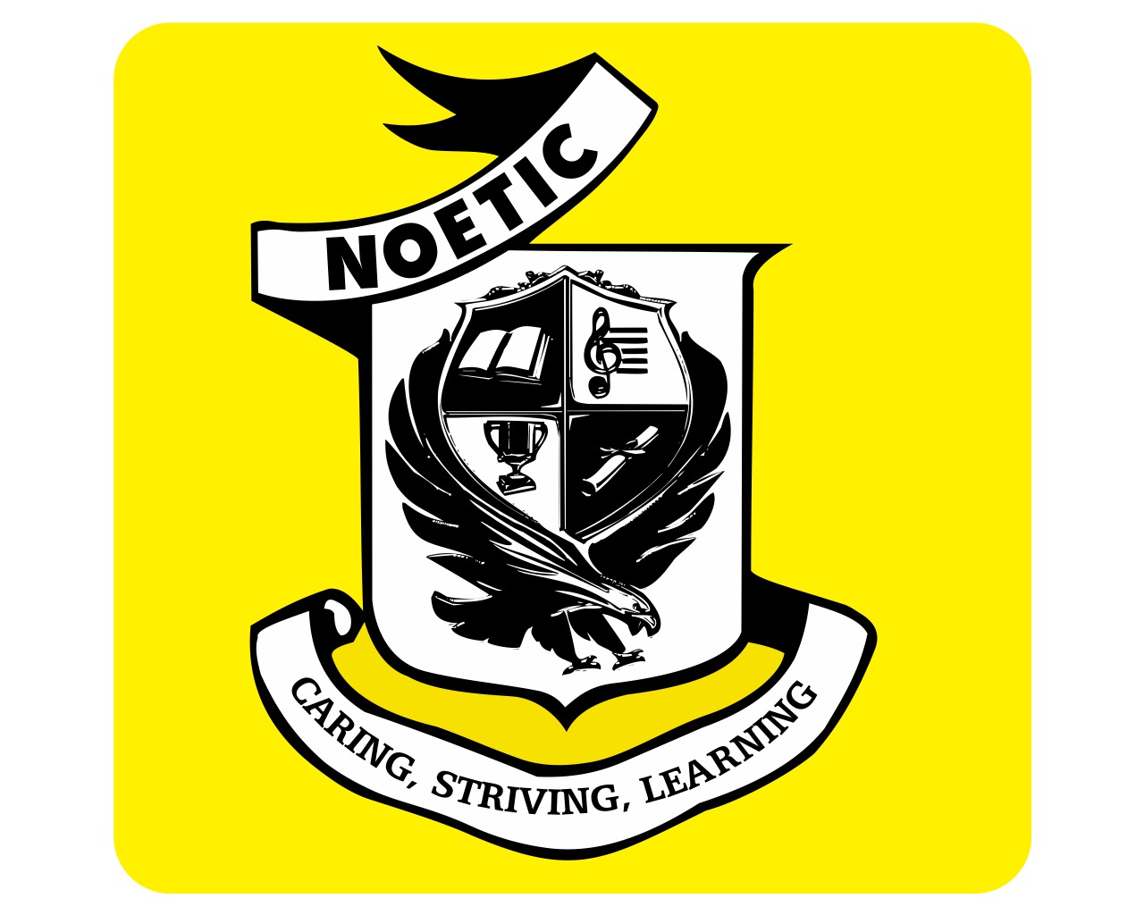 The Noetic Institute of Allied Health & Sciences