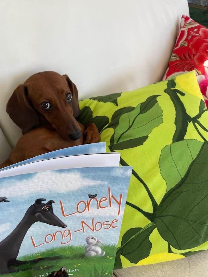 The very beautiful Alice. Adorable is... Lonely Long Nose
