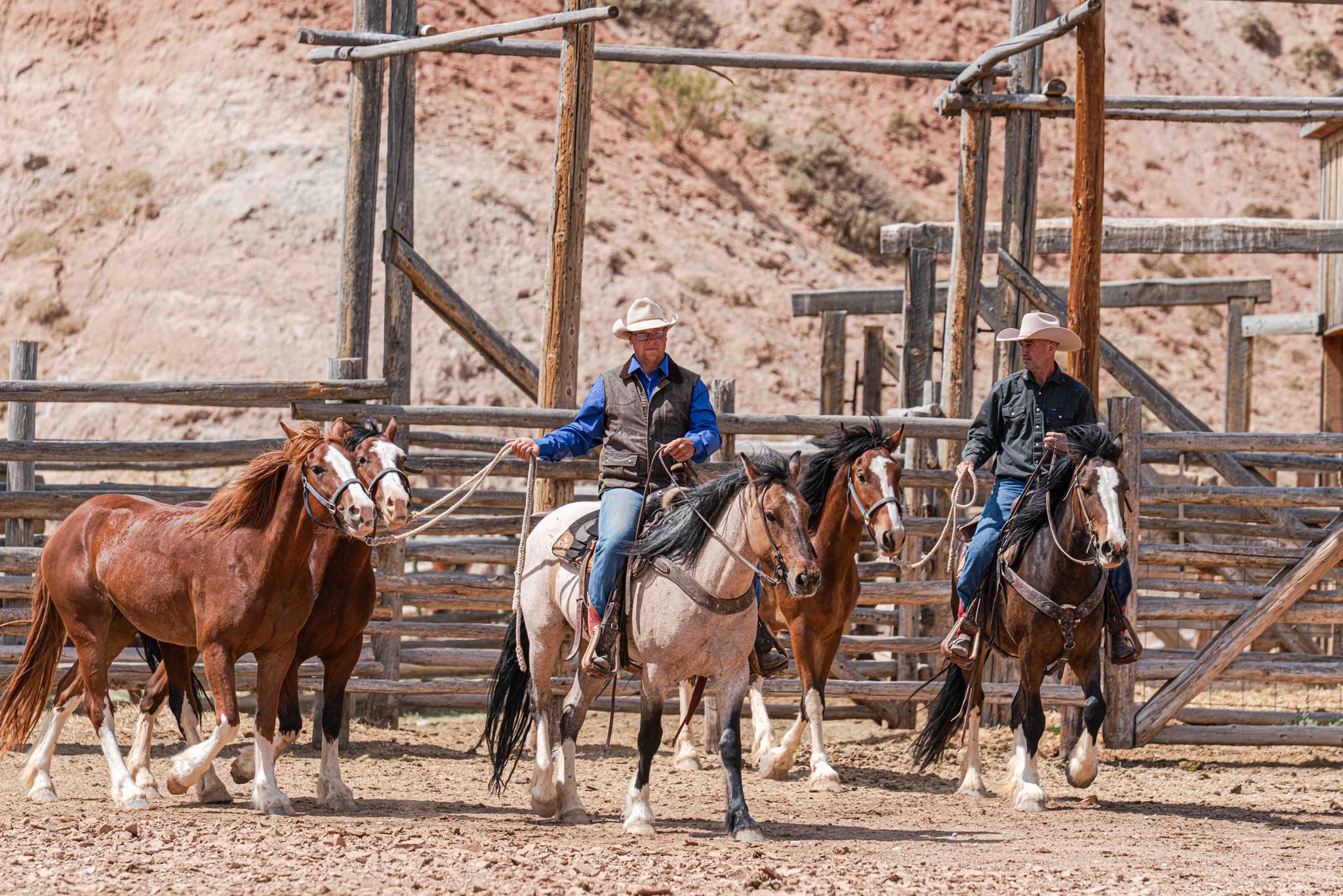 Turtle Ranch | Dubois WY