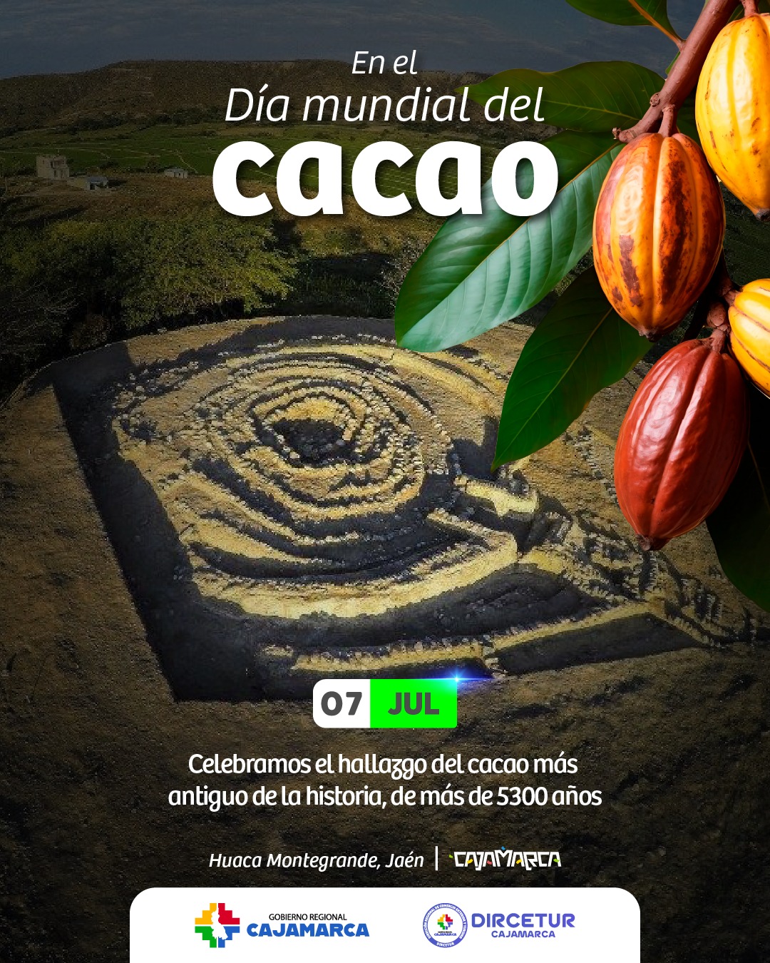 TOÉ Chocolates - ¿Piña con chocolate? 🥰 sí ,sí, funciona a las mil ...