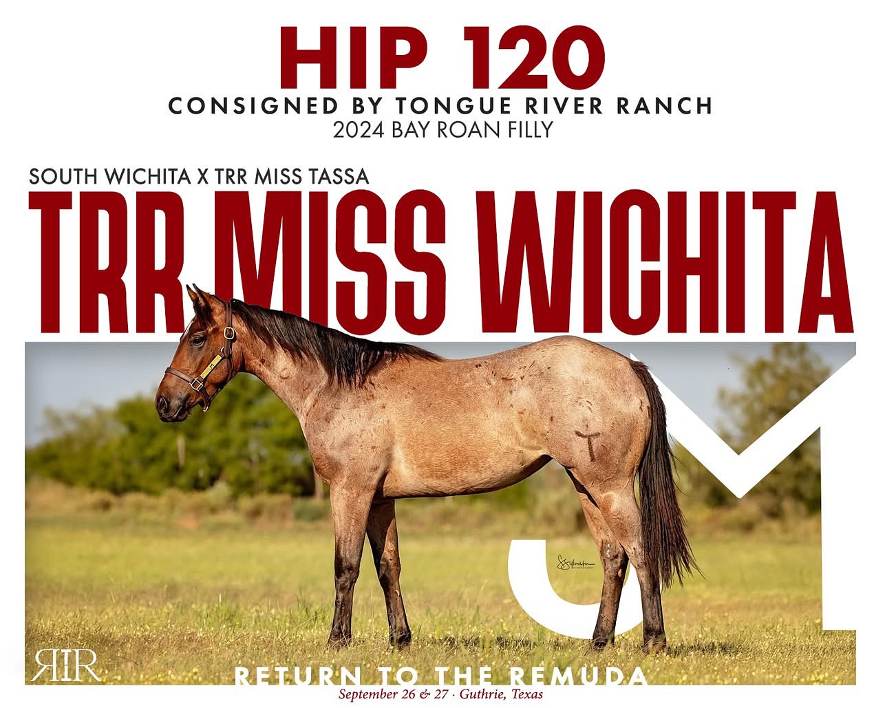 Tongue River Ranch updated their... - Tongue River Ranch