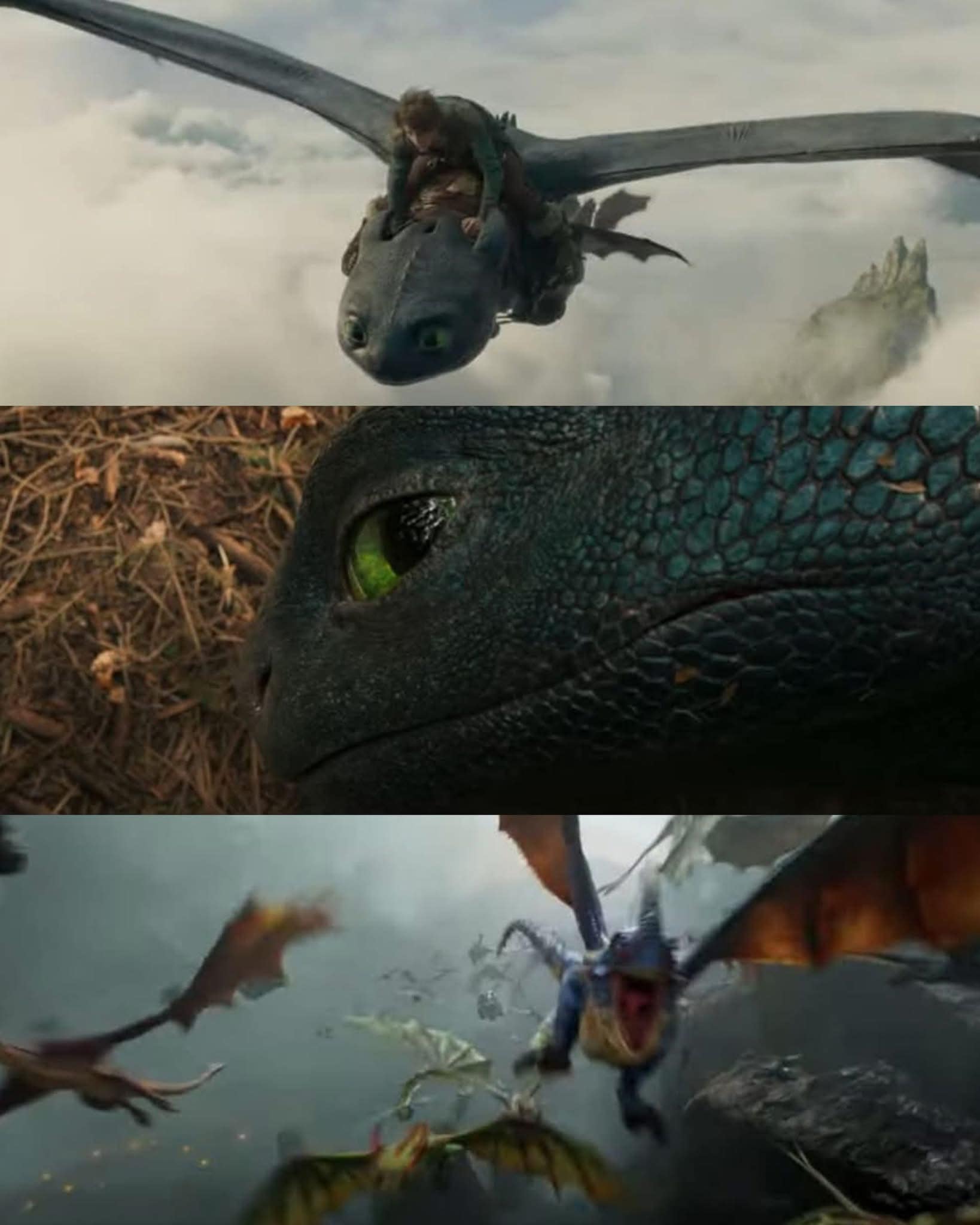 Rumbledore - 🎬 New look at #howtotrainyourdragon Live... | Facebook