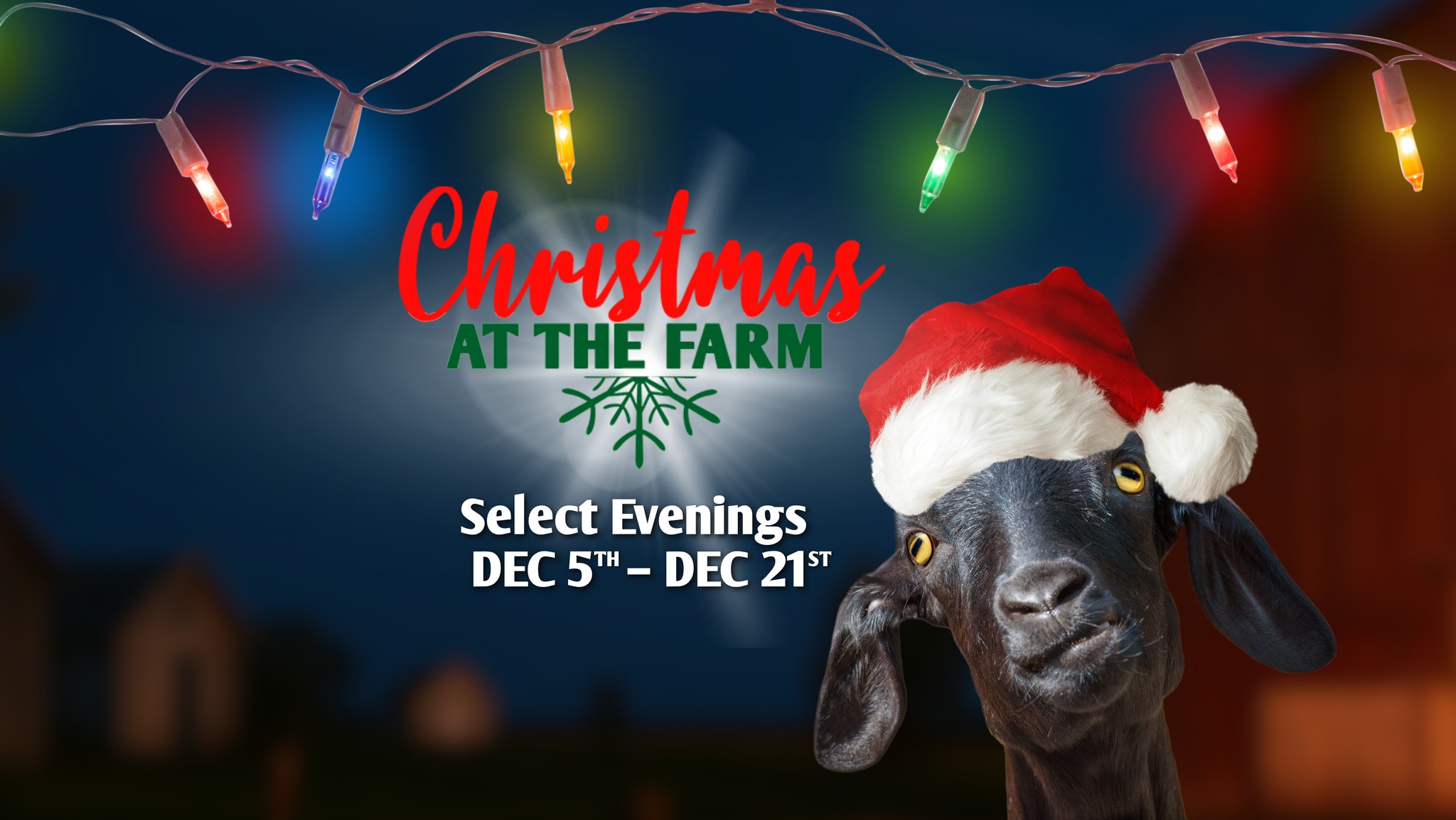 Christmas at the Farm 2025 at Sundrop Springs