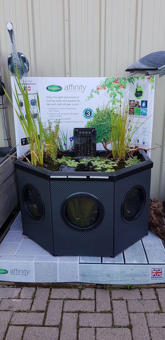 The Blagdon Affinity pools... - Maidenhead Aquatics Farnham | Facebook