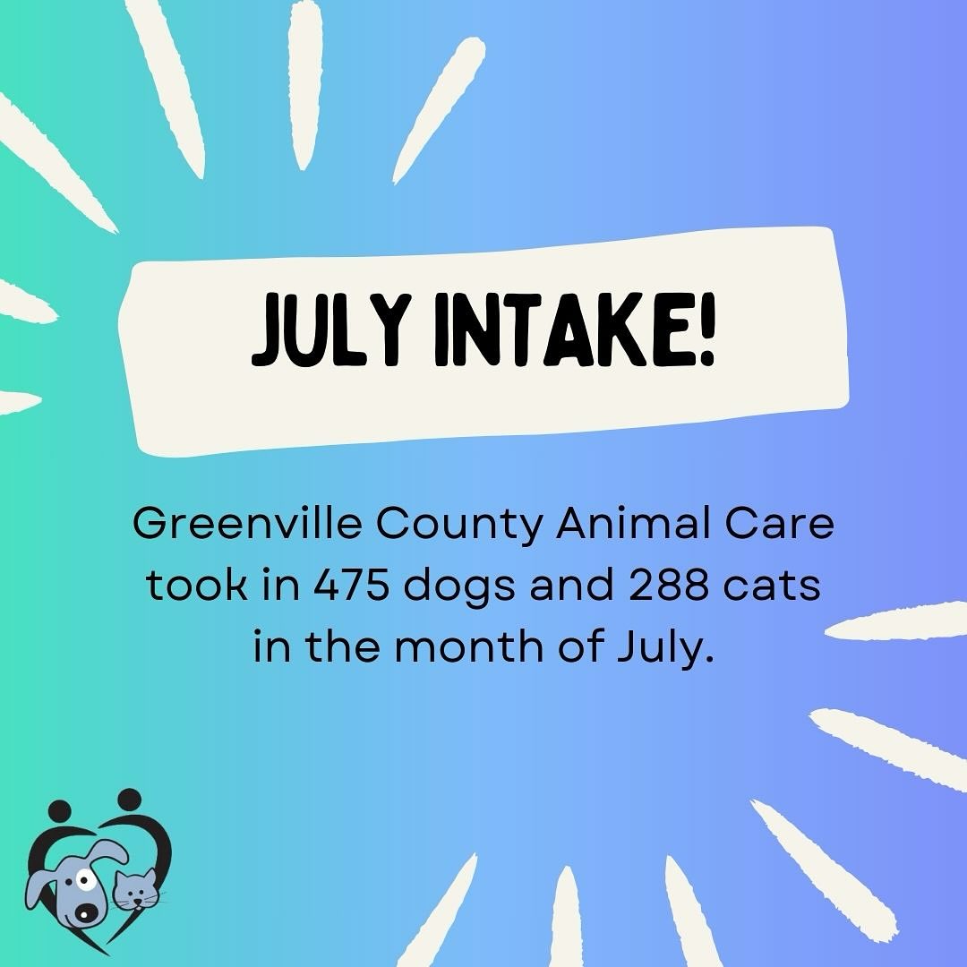 🚨 July Intake Numbers Are In 🚨... - Partners in Animal Care | Facebook