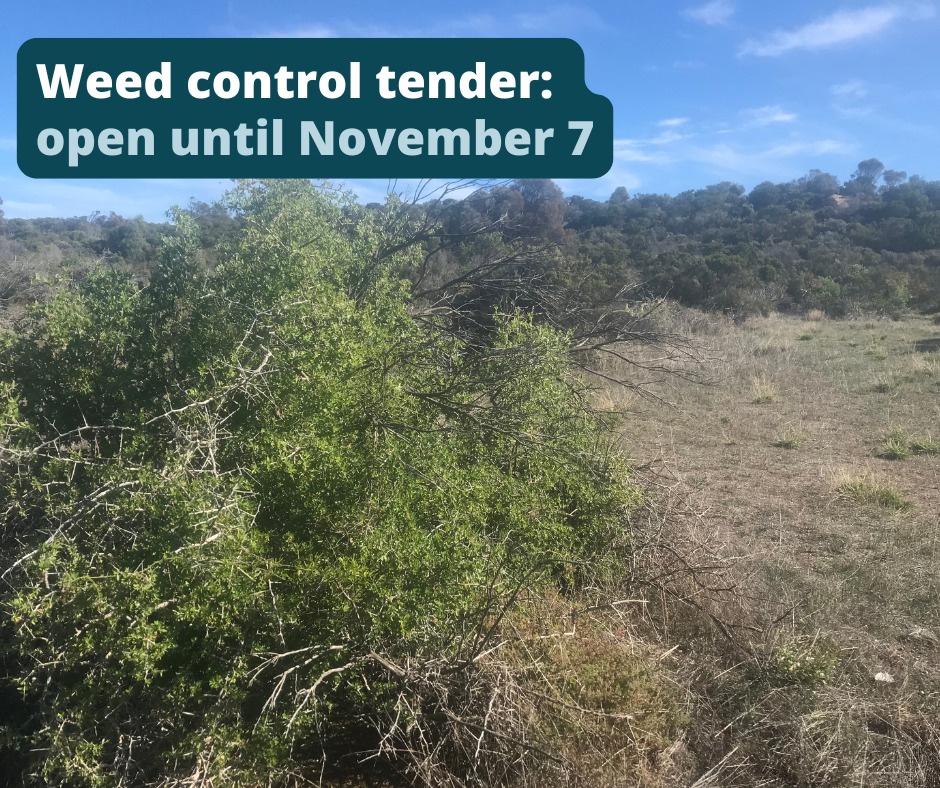 Eyre - There’s a few days left for tenders to be submitted for our weed ...