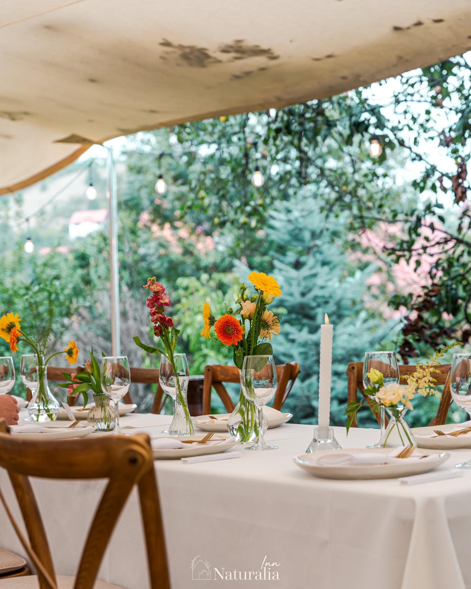 Naturalia Inn | Brasov