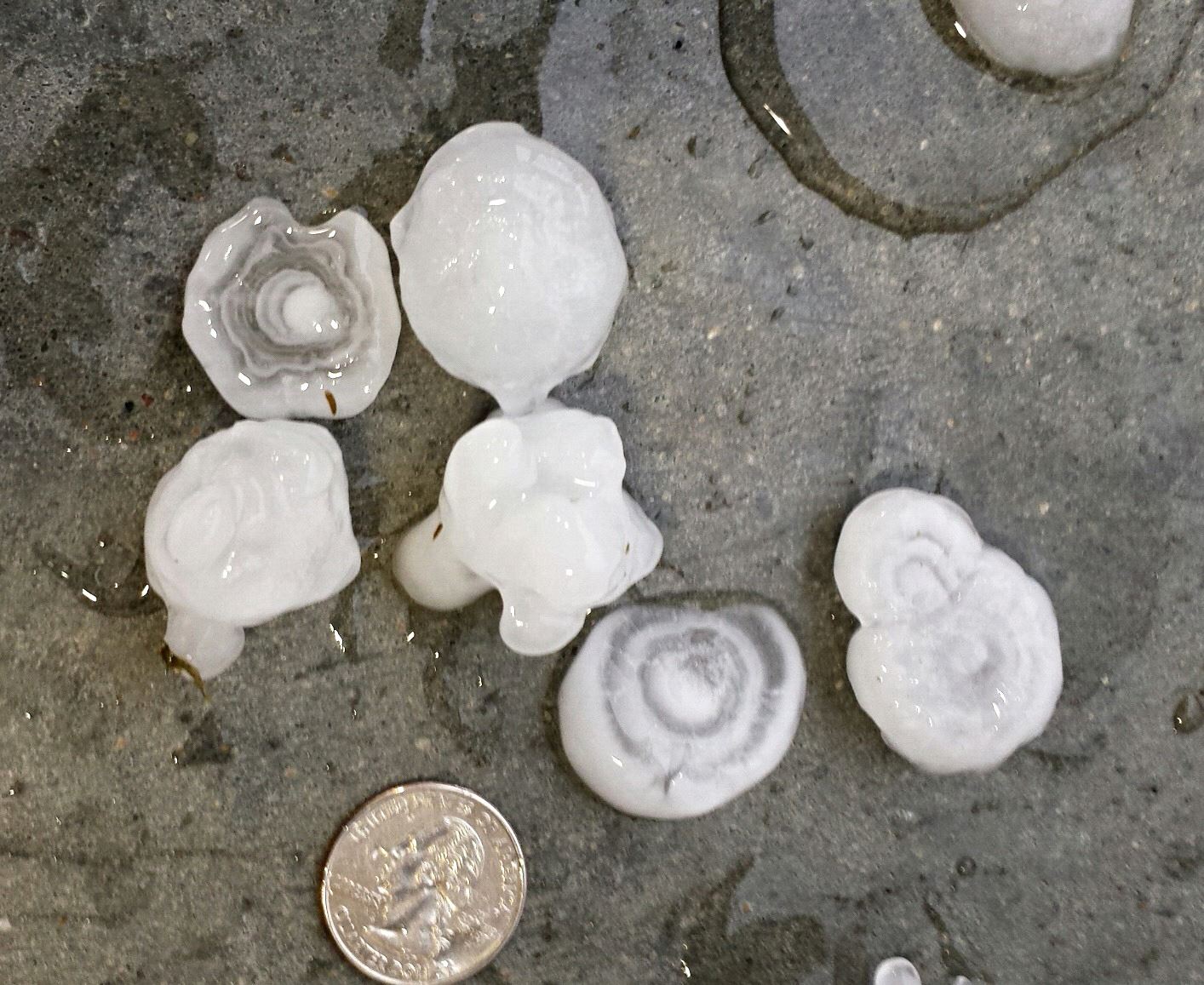 Withrow's Body Shop - Show us your hail pictures! Look a the rings in ...