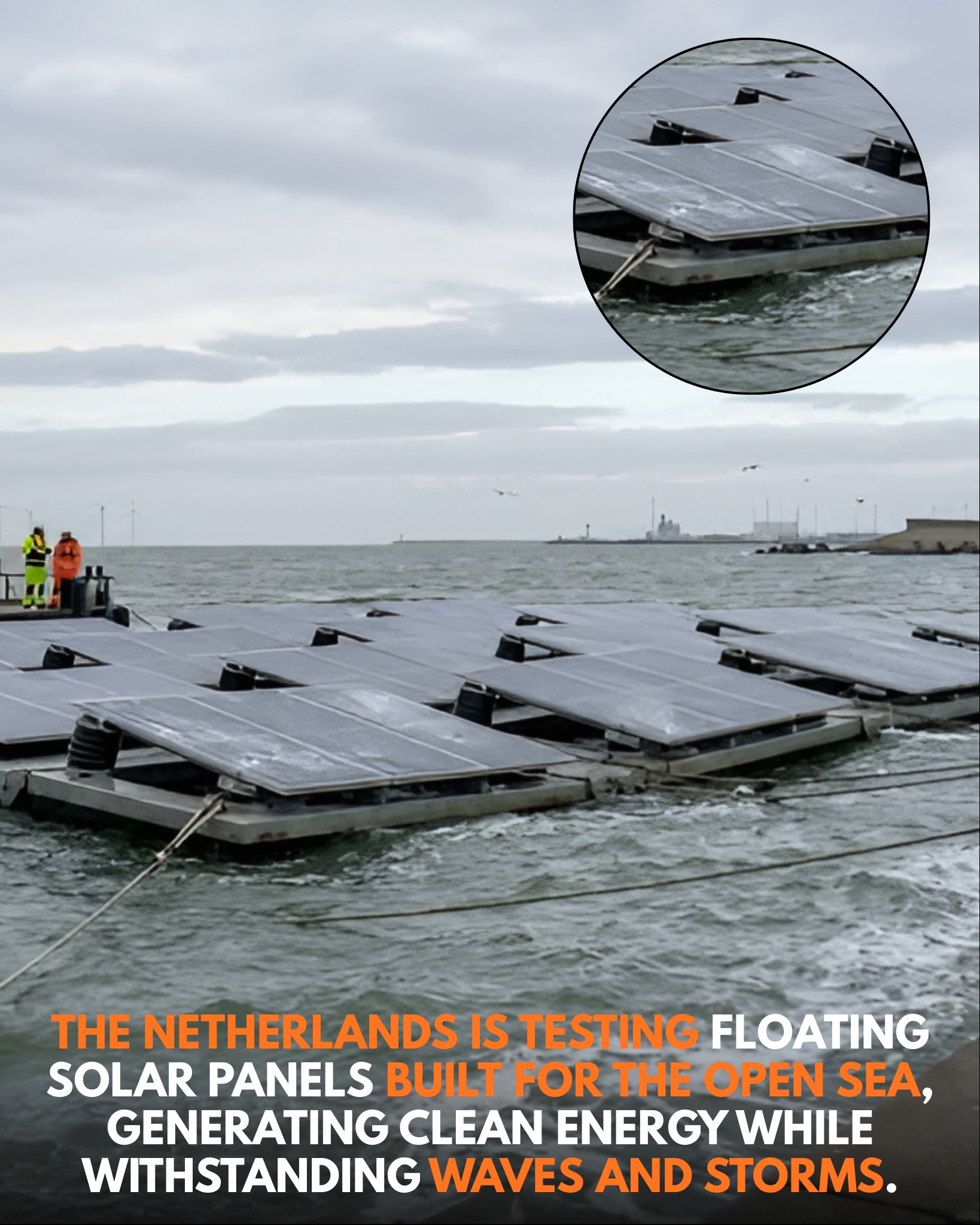 WingKnowledge - Dutch engineers are pioneering ocean-ready floating ...