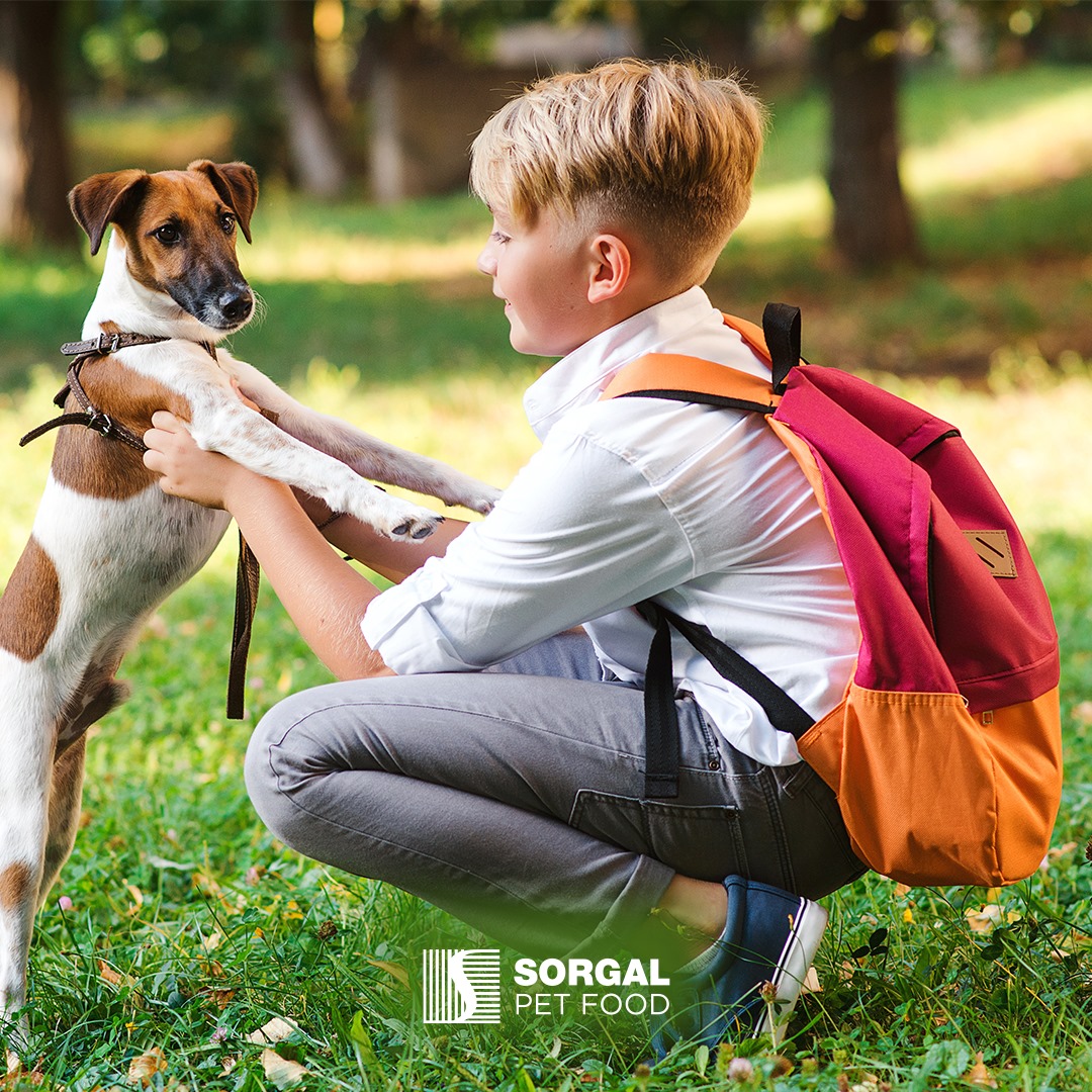 Sorgal Pet Food - O regresso às aulas e à rotina torna os... | Facebook