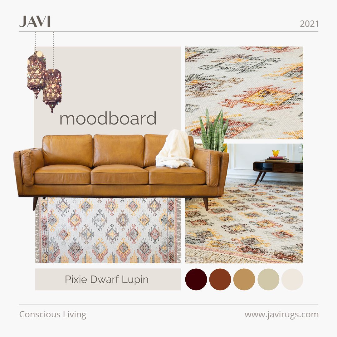 Javi Rugs - A moodboard for your festive soul. Pixie Dwarf... | Facebook