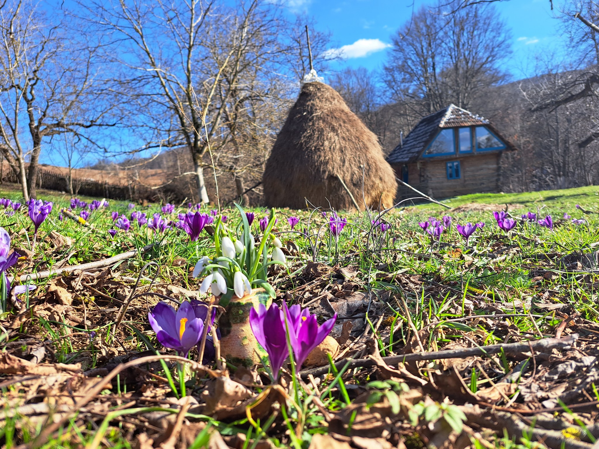 Dolina Village - Zece Hotare | Suncuius