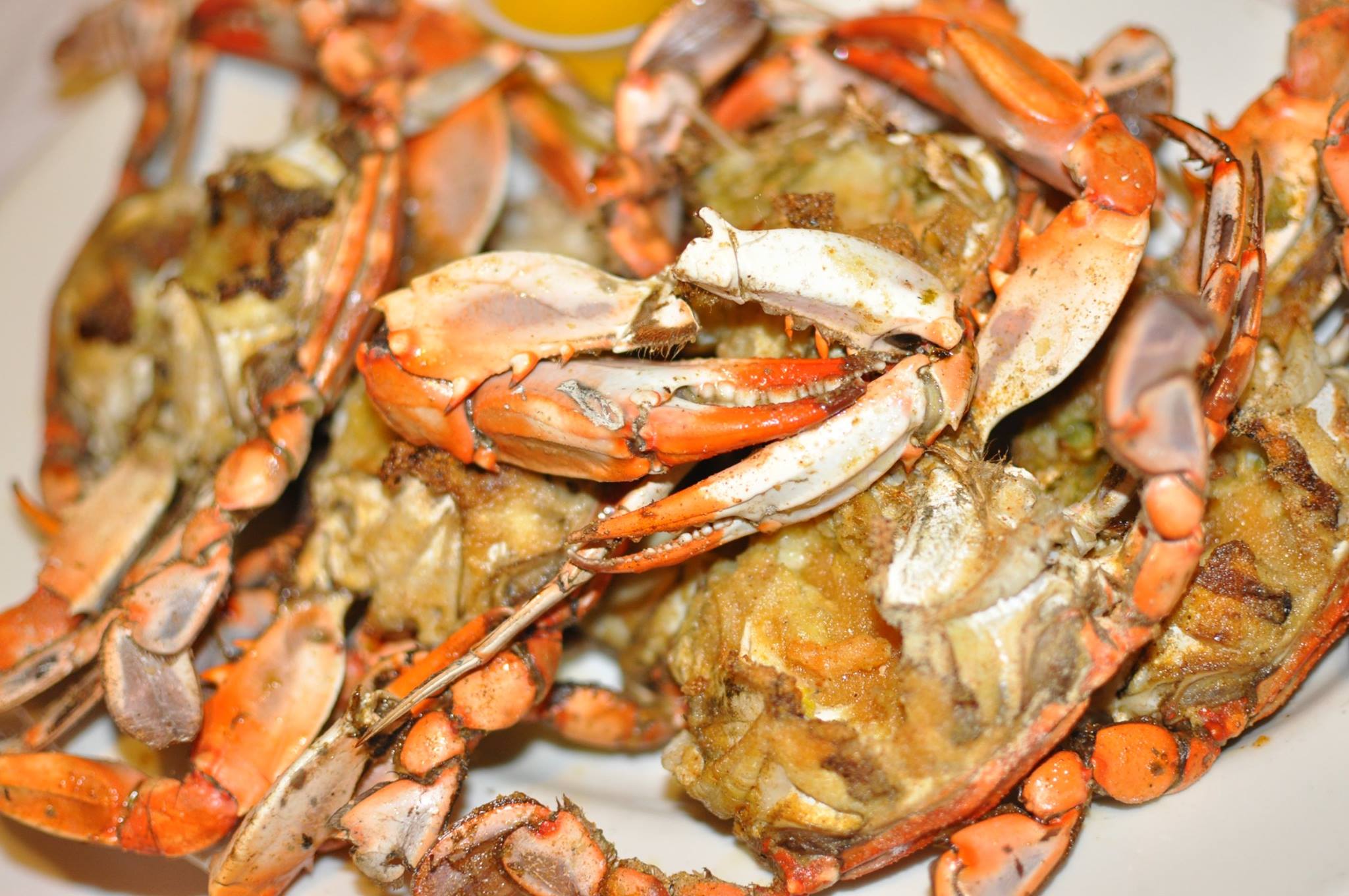 Gettin Crabby - Enjoy your weekend with All You Can Eat...