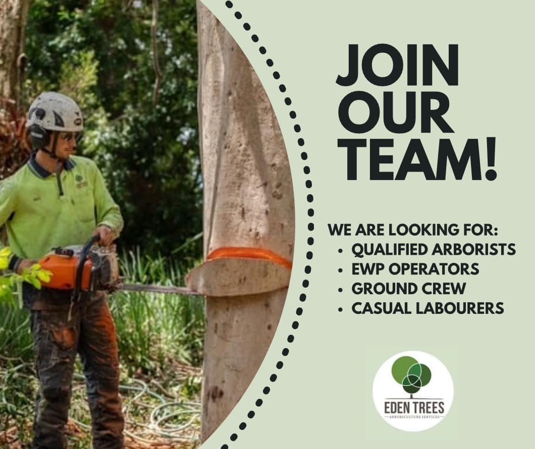 We are hiring!!! ️ Qualified... - Eden Tree Service | Facebook