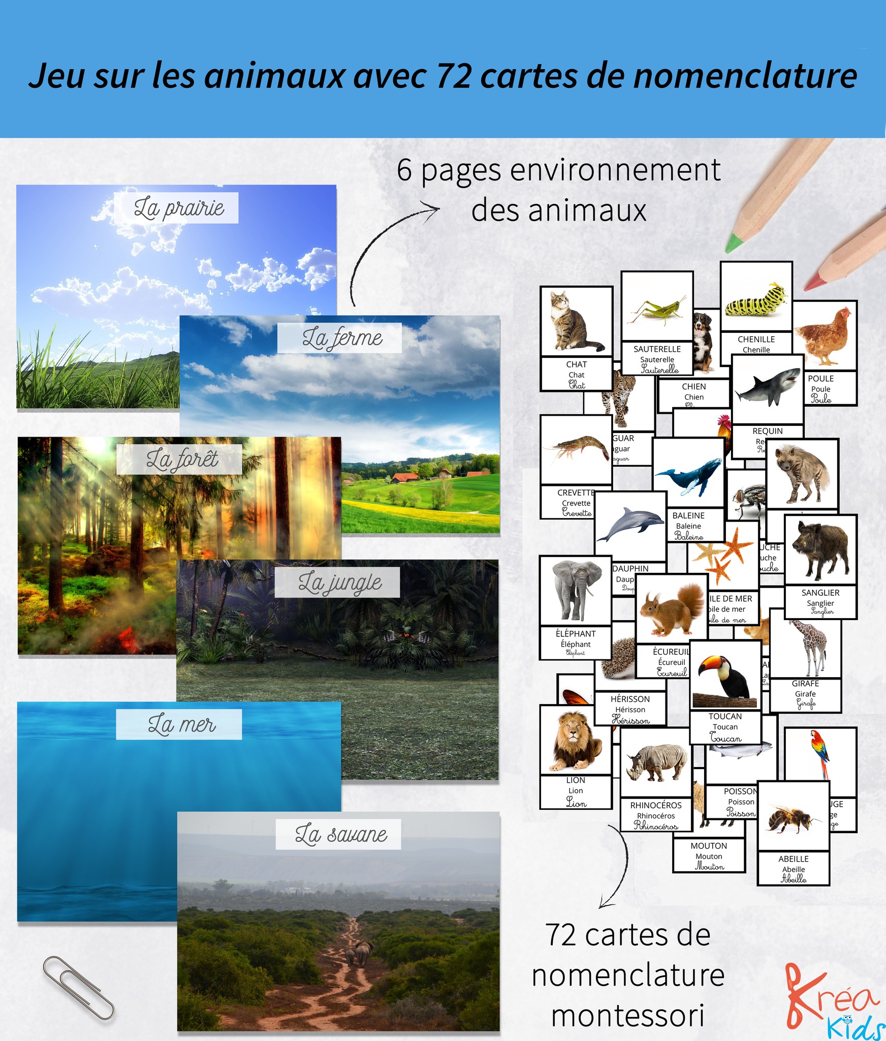 Kreakids - Jeu sur les animaux avec 72 cartes de nomenclature à ...