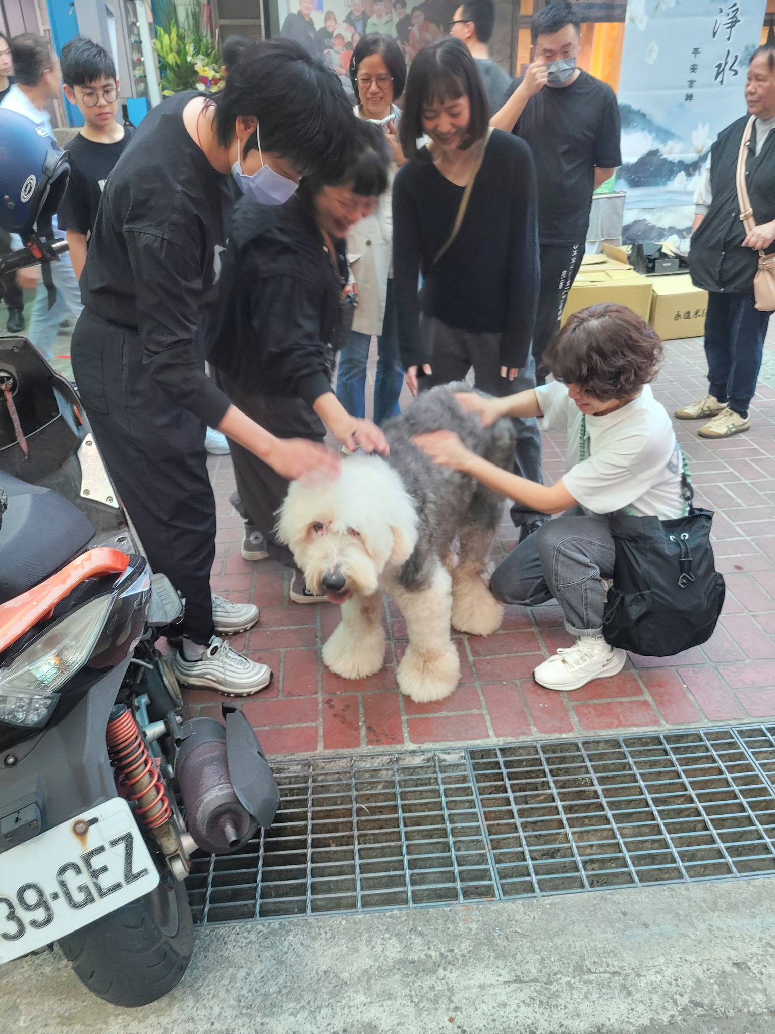 送行犬-斗哥 殯儀館美食巡守隊 | Hsinchu
