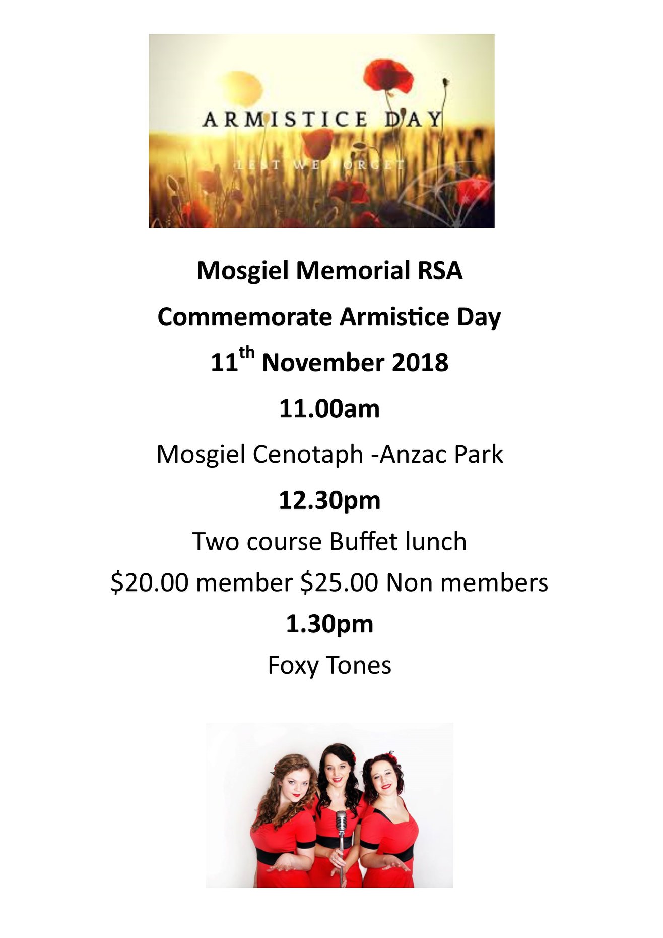 RSA Mosgiel - Armistice Day 2018. Join us at Mosgiel RSA...