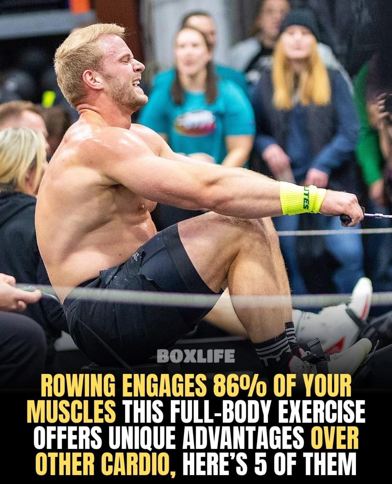 Gym - Rowing machines dominate cardio because they’re basically a full ...