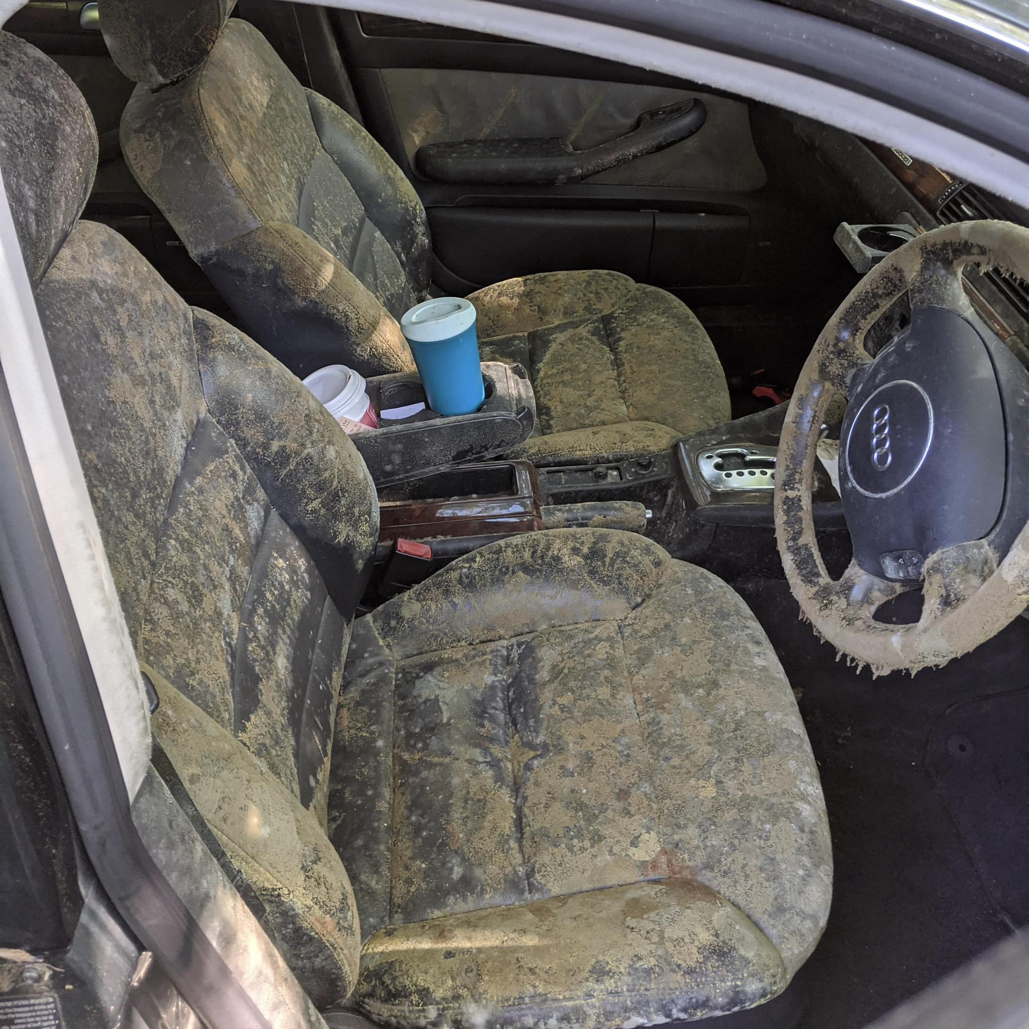 Auto Reflect Detailing