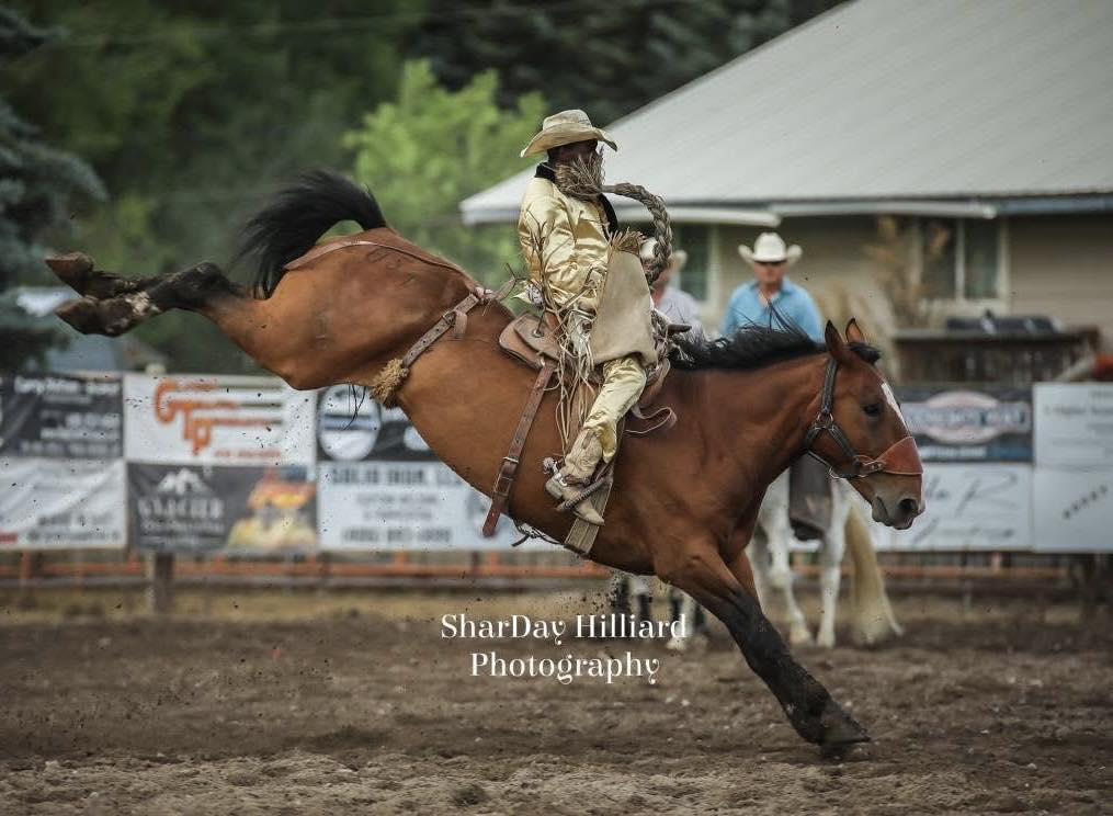Brash Rodeo | Columbia Falls MT