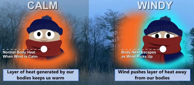 WHAT IS “WIND CHILL” AND WHY... - Safe Communities Portugal | Facebook
