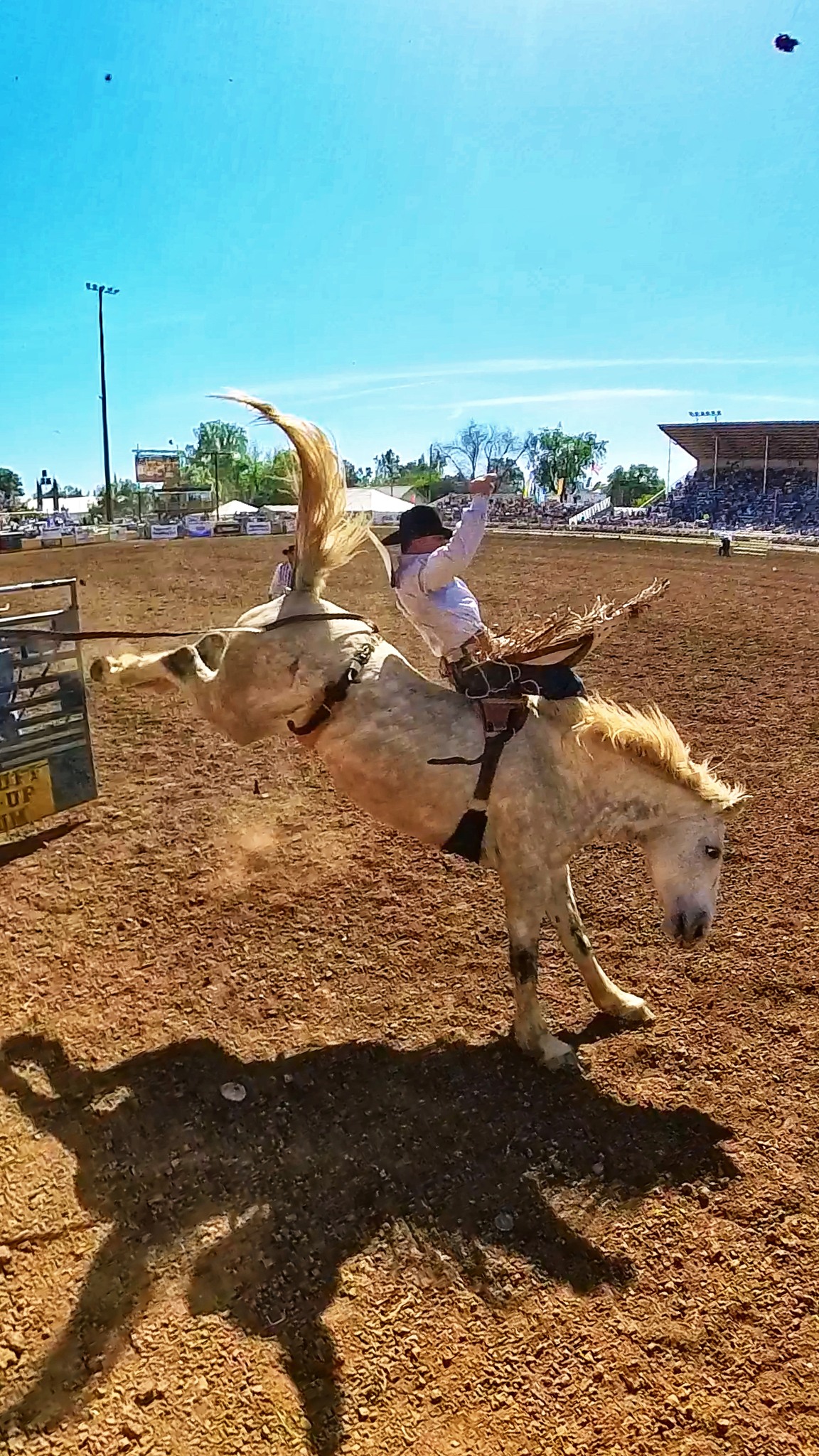 California - And we’re off! 🚨 The 2025 Six Pac Rodeo Series is ...