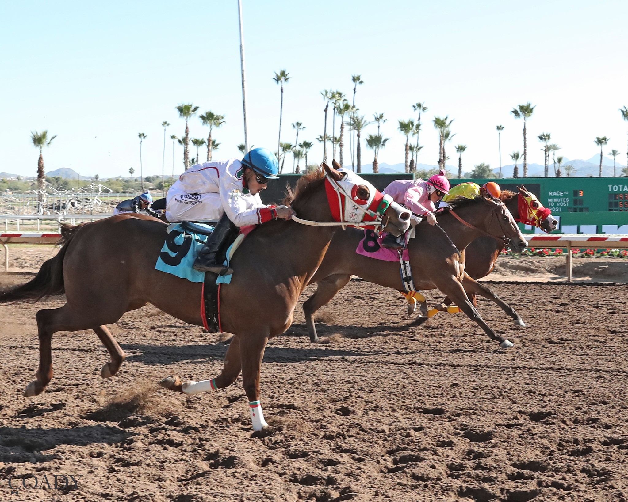 Q-Racing - Four trials for the $70,000-estimated AQRA Turf... | Facebook