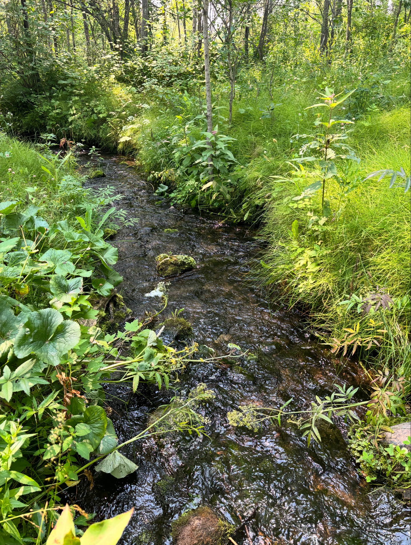 Valley Springs Campground