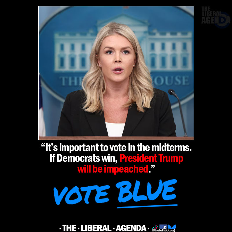 The Liberal - She really did give everyone the perfect campaign ad with ...
