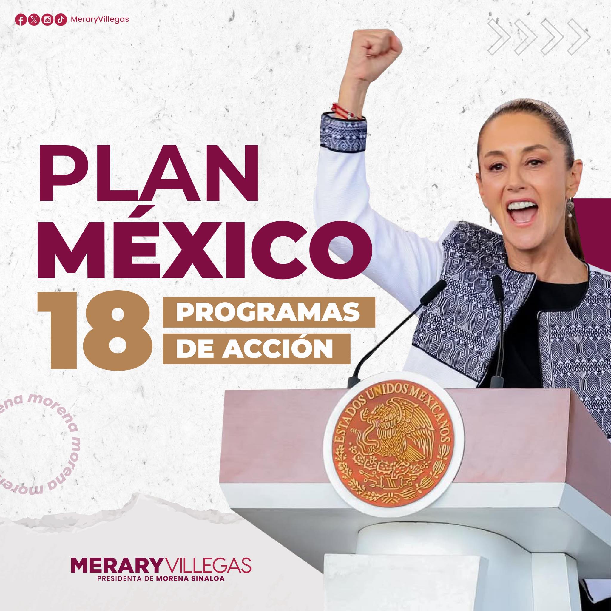 Merary Villegas - Les comparto los 18 programas de acción...