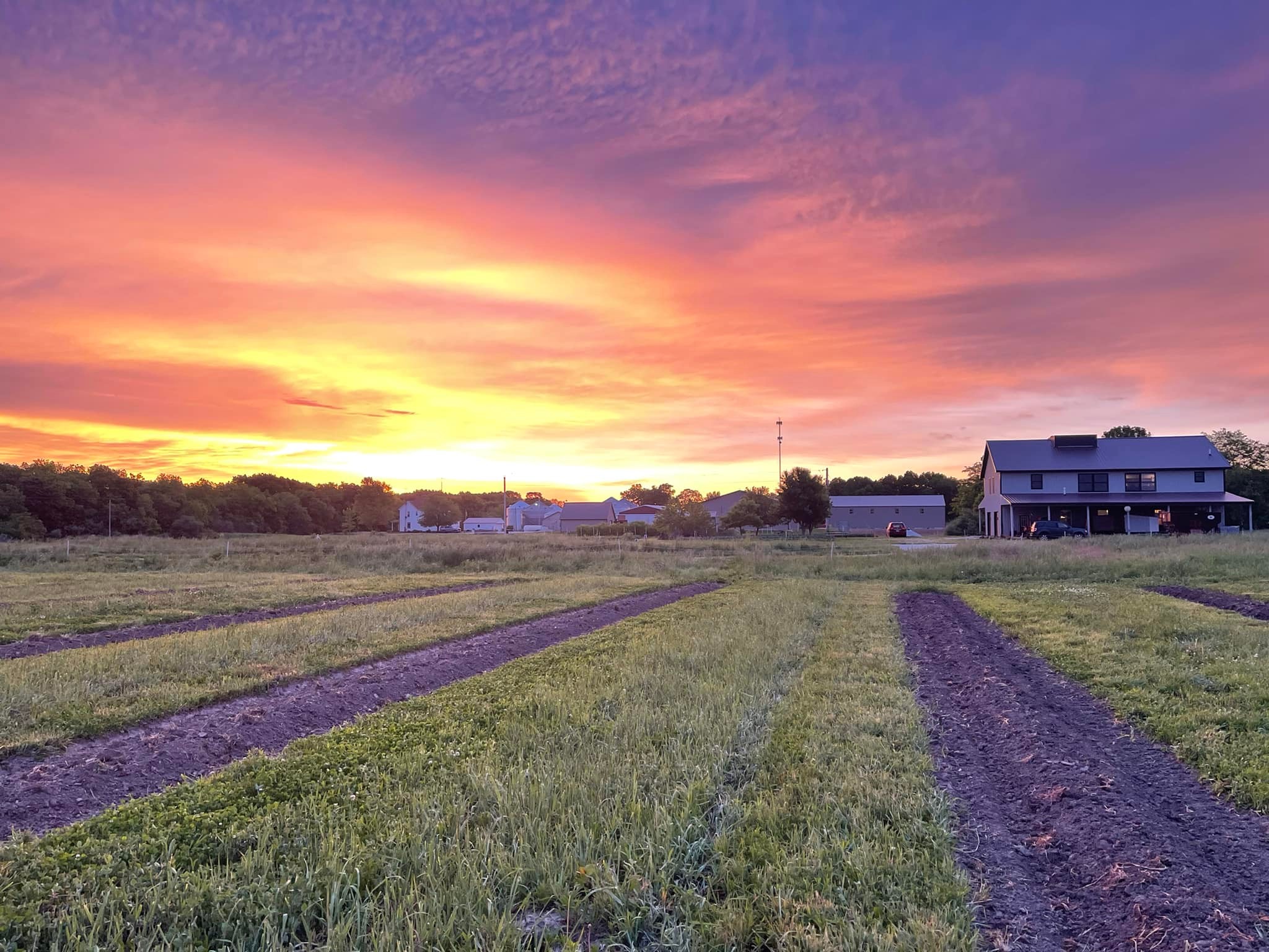 Regenerative Life Farm | Findlay IL
