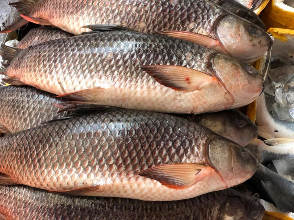 Aslam Fish & Chicken Traders | Lahore