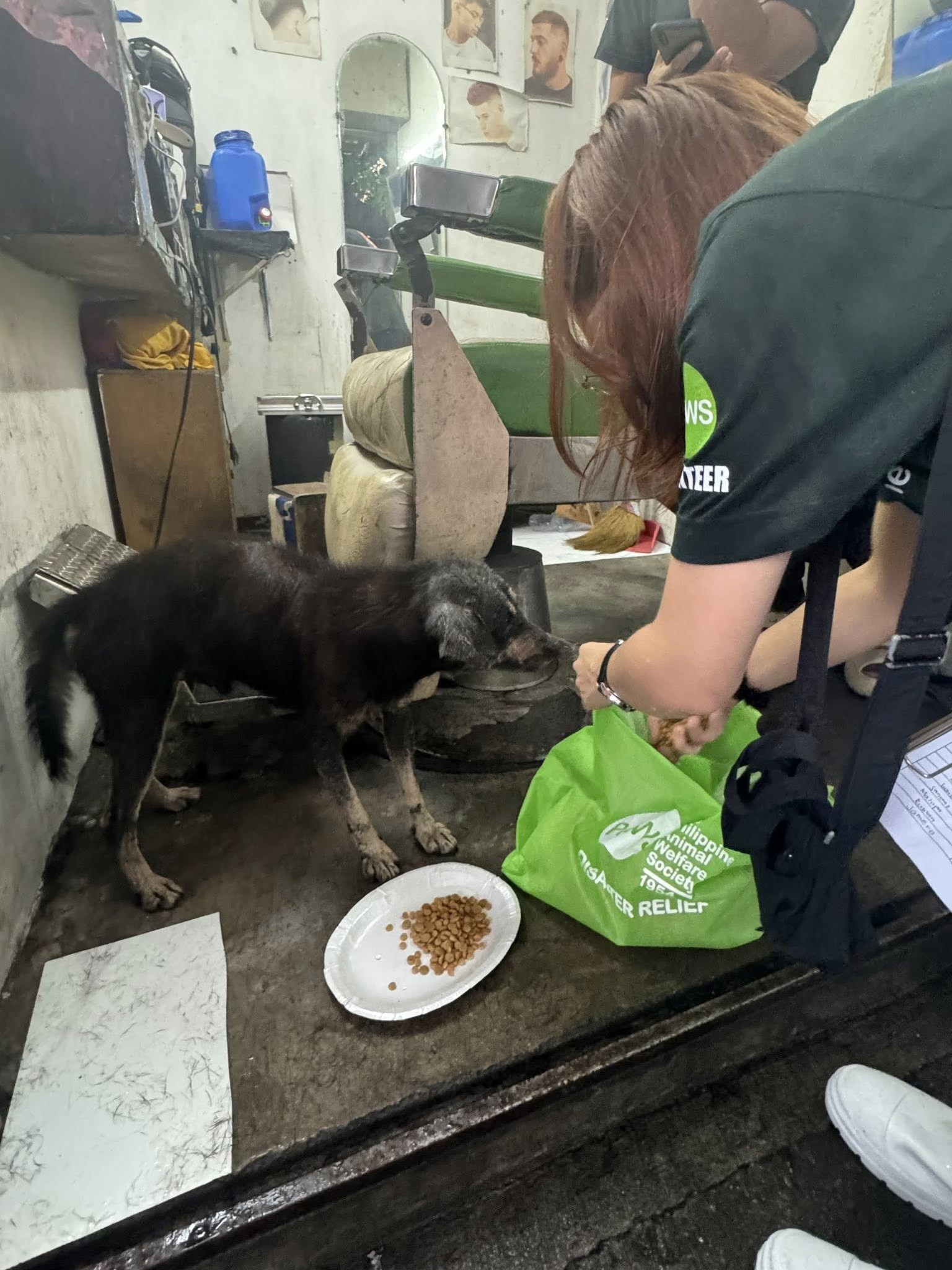 Philstar.com - PET RELIEF MISSION Volunteers from the Philippine Animal ...