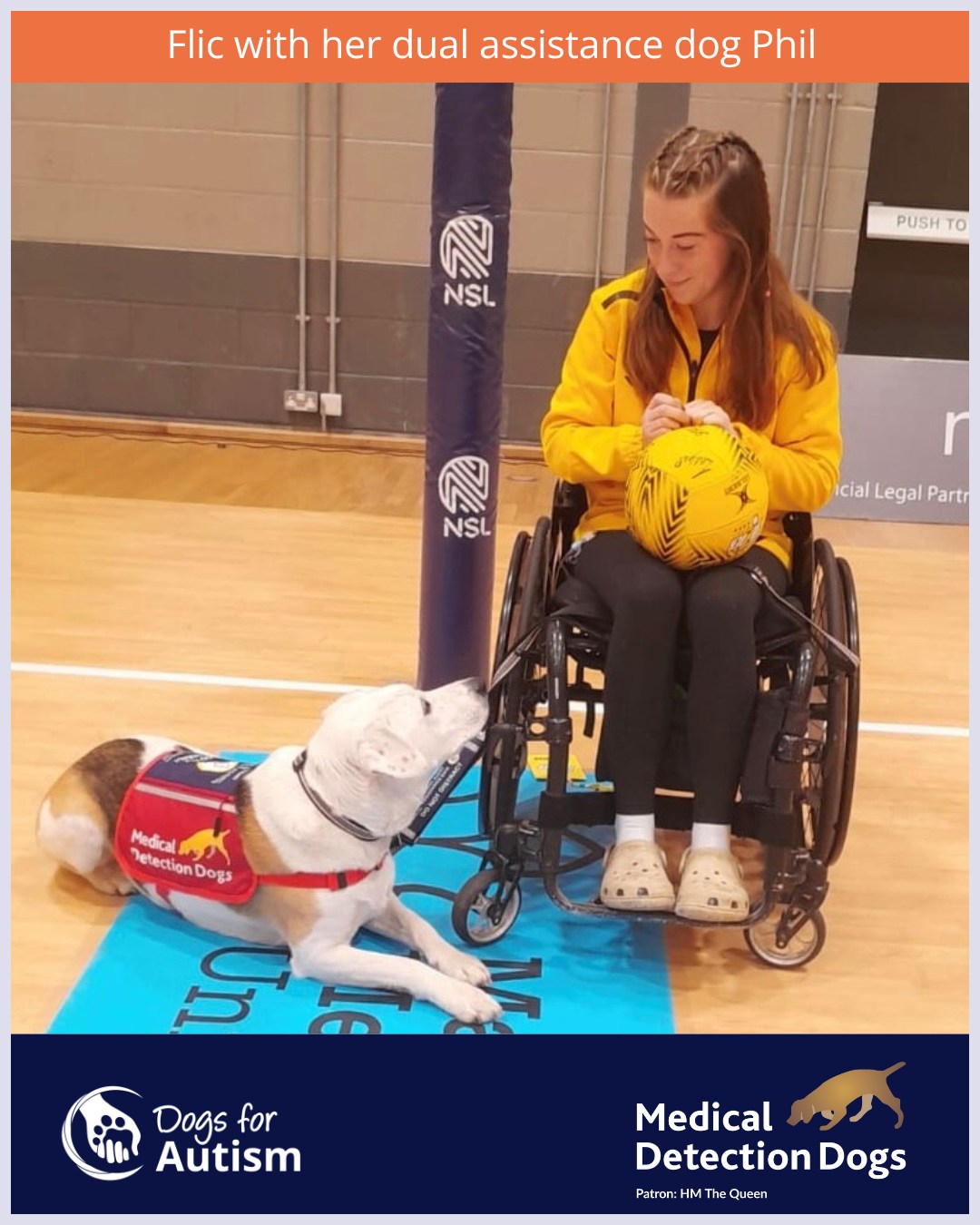 Dogs - We’re delighted to introduce a very special, newly accredited ...