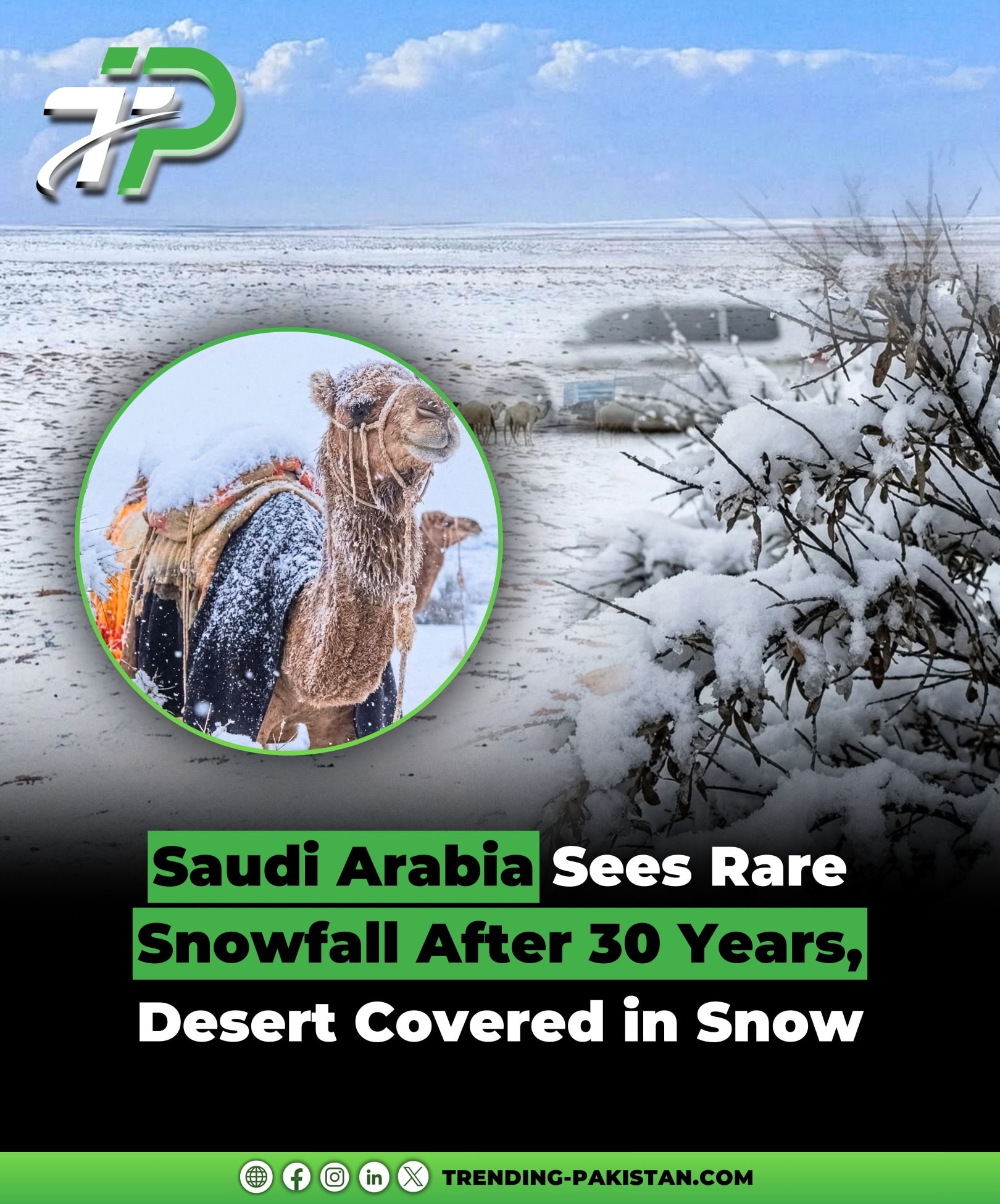 Trending - Saudi Arabia has witnessed a rare snowfall after three ...